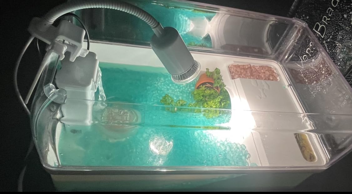 AZV Turtle Tank Starter Habitat Kit,Complete Aquatic Terrarium Enclosure with Filter,Basking Platform with Hideout,Multi-Function Area,Drainage,Plants and Lamps,Perfect for Red Eared Slider Aquarium customer photo 1