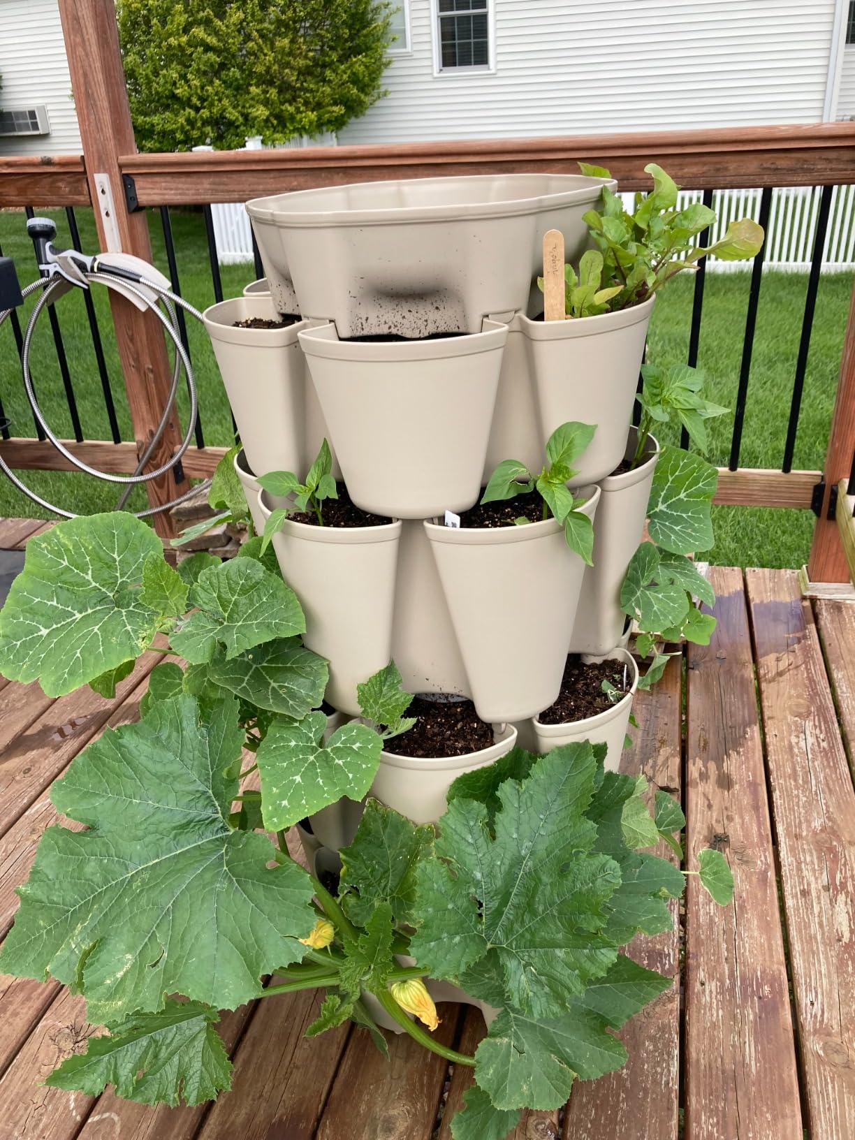 Greenstalk Patented Large 5 Tier Vertical Garden Planter with Patented Internal Watering System customer photo 1