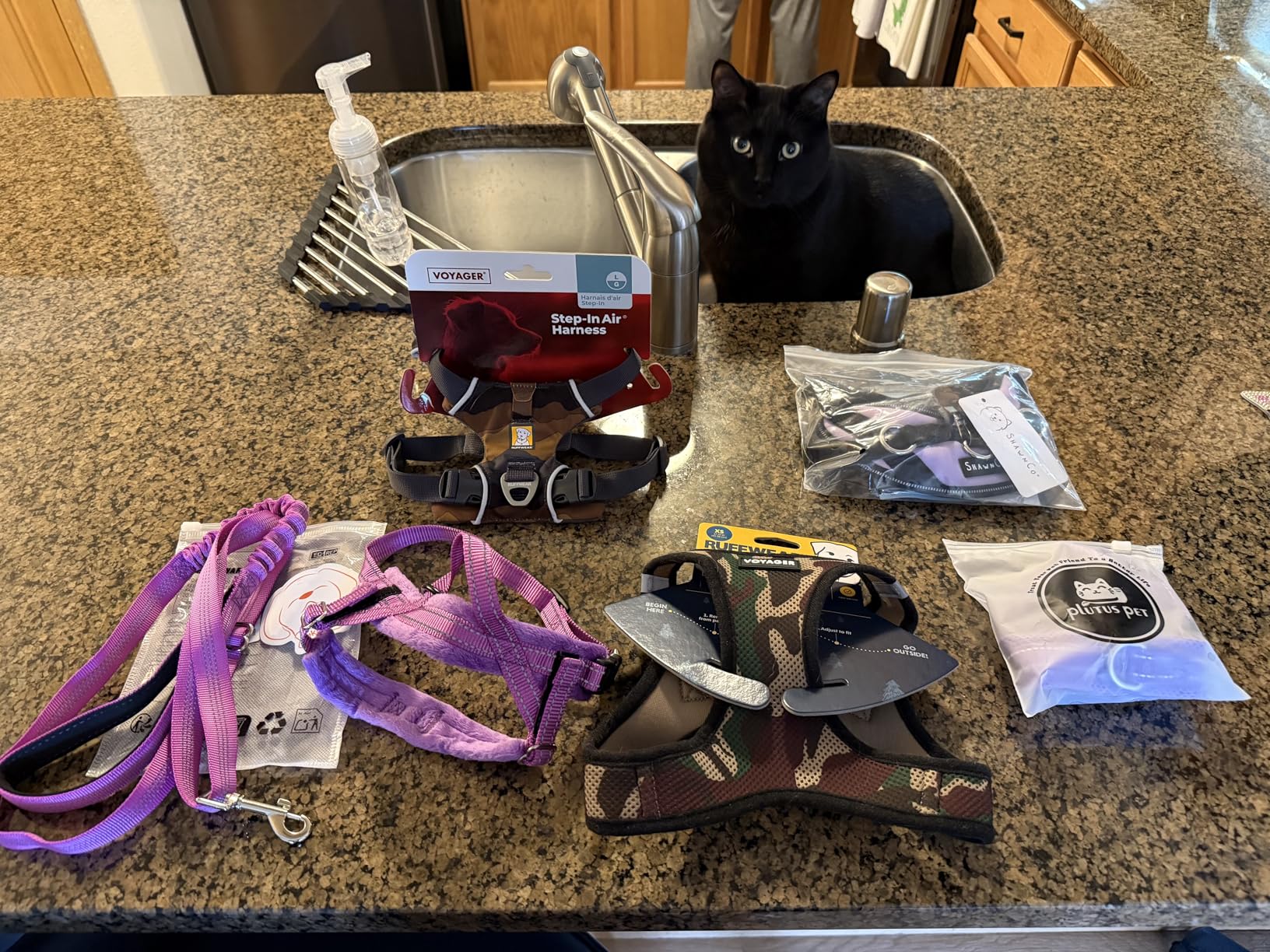 Ruffwear Front Range Dog Harness, Reflective Soft Padded Everyday Harness with Dual Leash Clips, Adjustable and Lightweight Fit for Training or Walking for All Dogs, Spring Mountains, Small customer photo 2