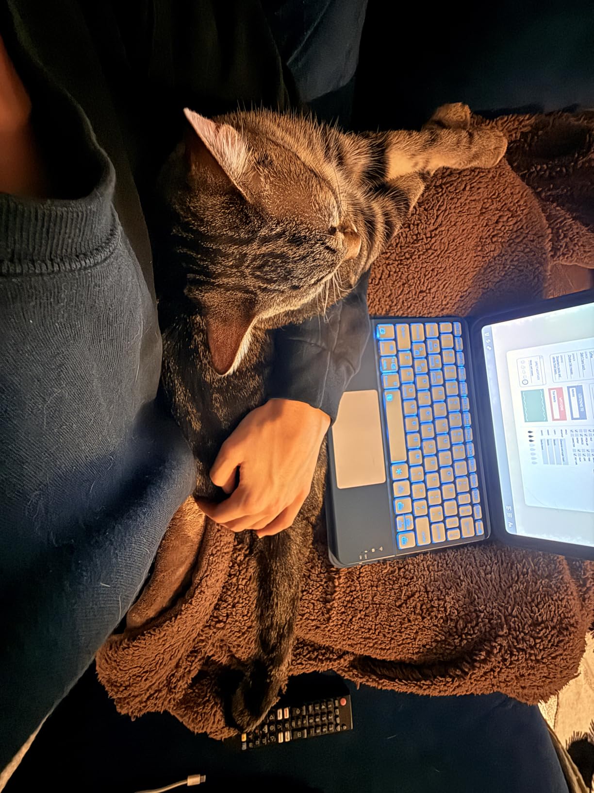 Harvopu Compatible for iPad 11th 10th Generation Case with Keyboard, Folio Cover with Pencil Holder, Multi-Touch Trackpad, 7 Color Backlit, Detachable Keyboard for iPad (A16) 11th/10th Gen (Navy Blue) customer photo 1