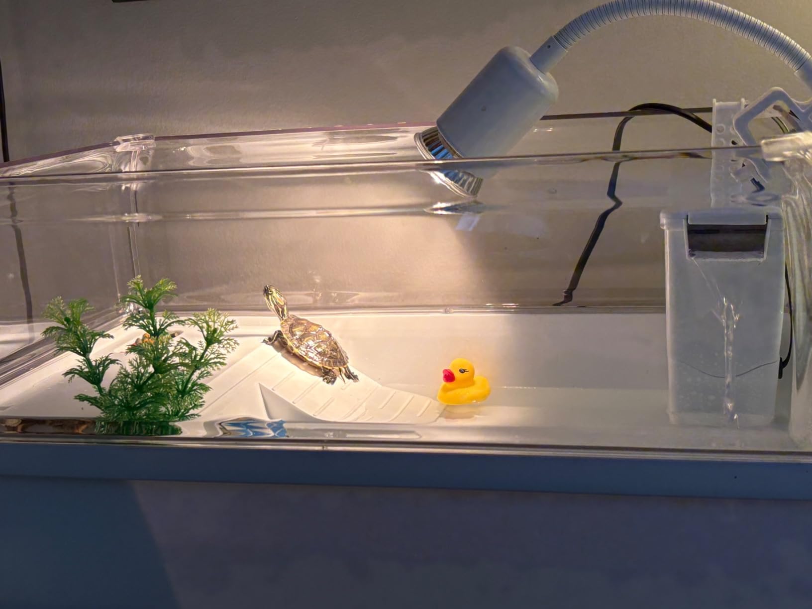 Turtle Tank Acrylic Habitat Kit with Silent Filter & Bottom Drain,UVB Basking Platform Light,Multi-Zone Aquatic Tortoise Enclosure with Hideout,Feeding Area,Plant,Net & Accessories for Baby customer photo 1