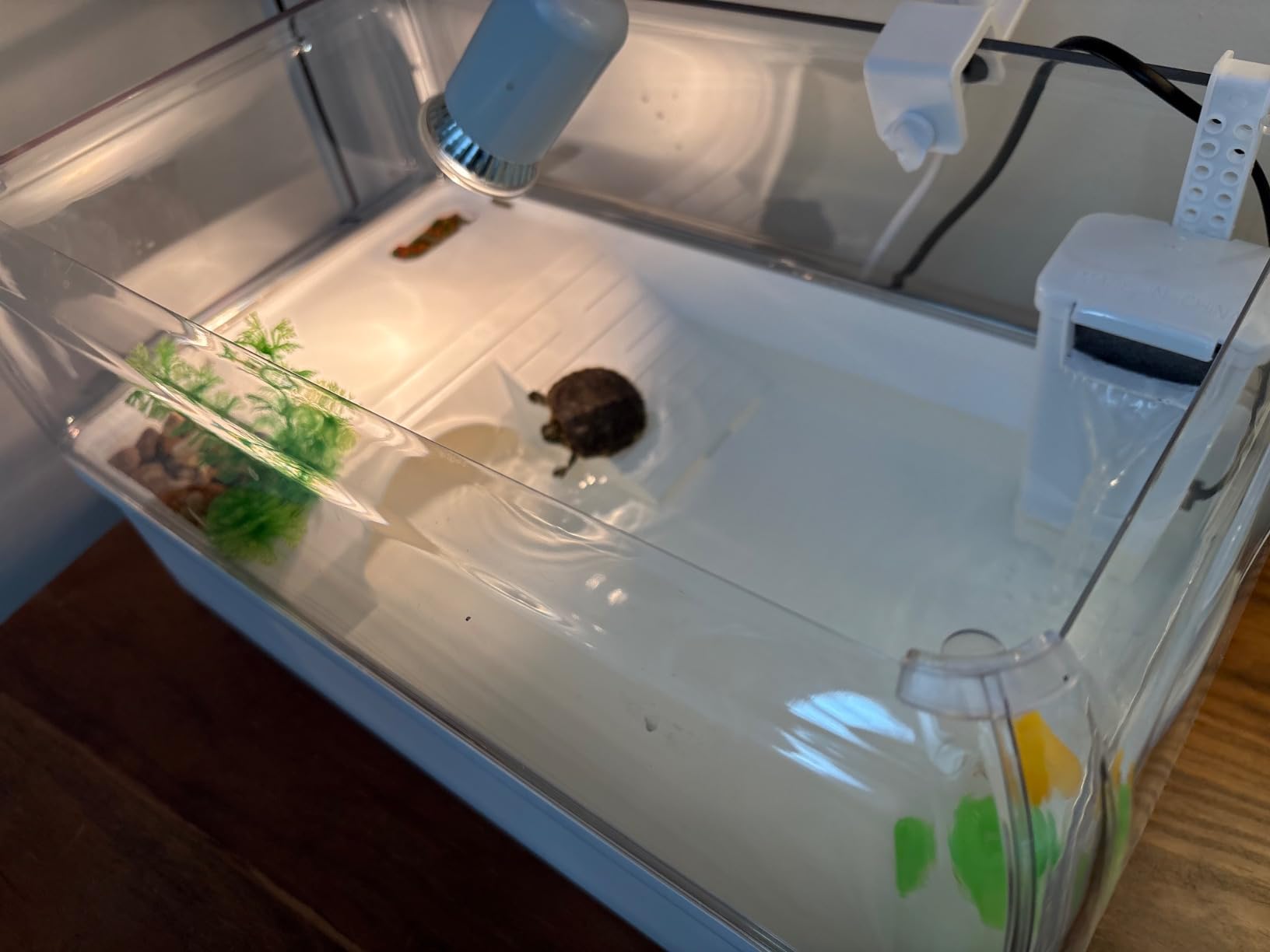 Turtle Tank Acrylic Habitat Kit with Silent Filter & Bottom Drain,UVB Basking Platform Light,Multi-Zone Aquatic Tortoise Enclosure with Hideout,Feeding Area,Plant,Net & Accessories for Baby customer photo 2