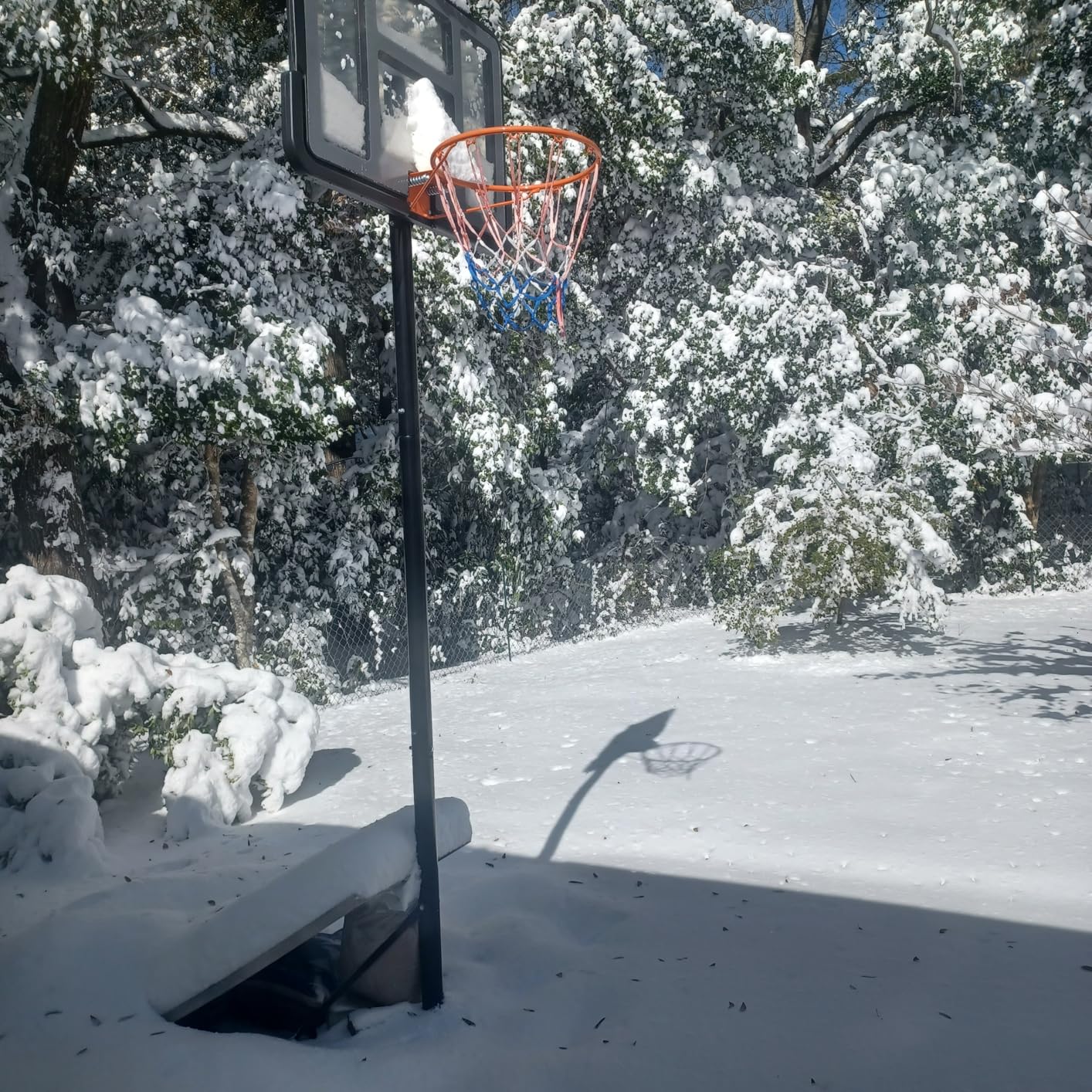 IGL Portable Basketball Hoop, 5.6-10FT Adjustable Basketball Goal System, 40/44 Inch Outdoor Basketball Hoop for Kids, Youth, and Adults customer photo 1