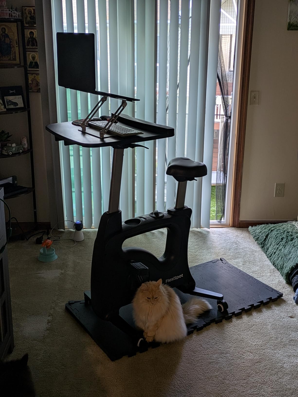 FLEXISPOT Exercise Bike with 2D Desktop, Space Saving Under Desk Bike with Removable Desk, Stationary Bikes Indoor Bikes V9PRO/V9MAX customer photo 1