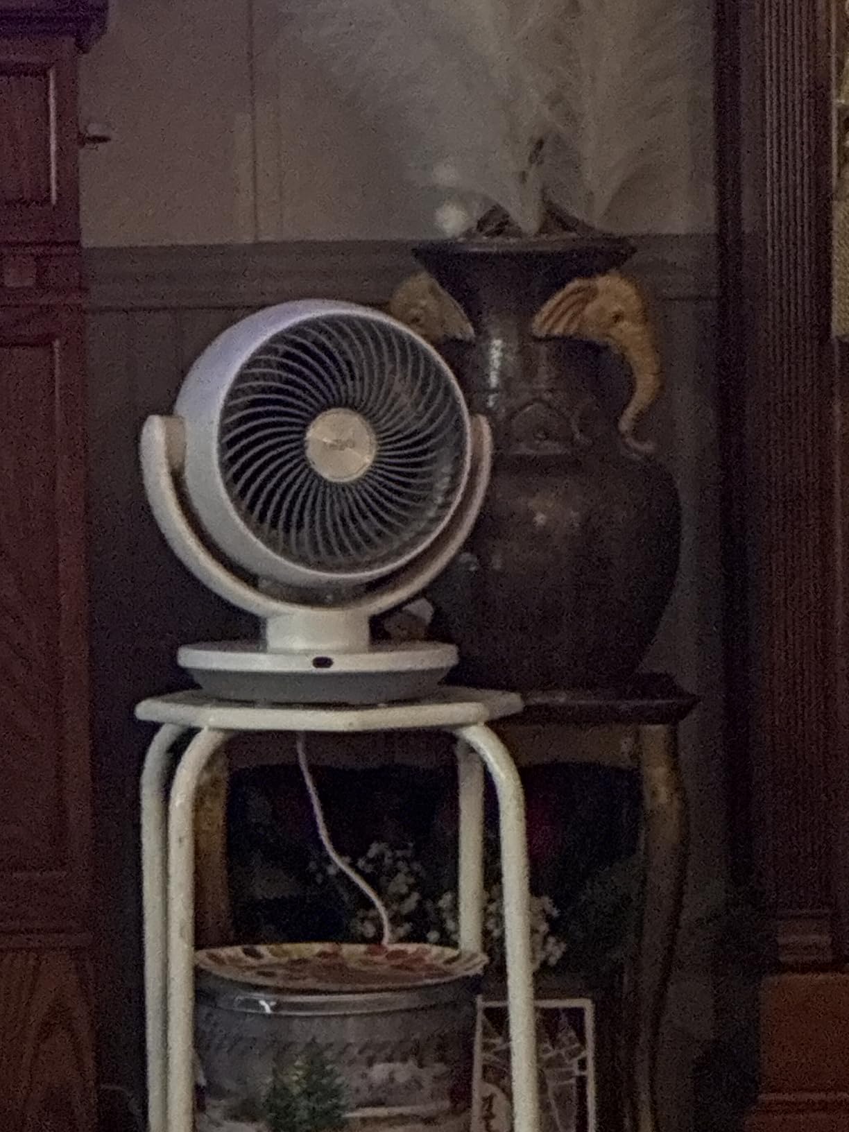 DREO Fan for Bedroom, Desk Air Circulator Fan with Remote, 11 Inch Table Fans for Whole Room, 65ft Powerful Airflow, 120° Vertical Manual +90° Oscillating, 4 Speeds, 8H Timer, Quiet Fan, Home customer photo 2