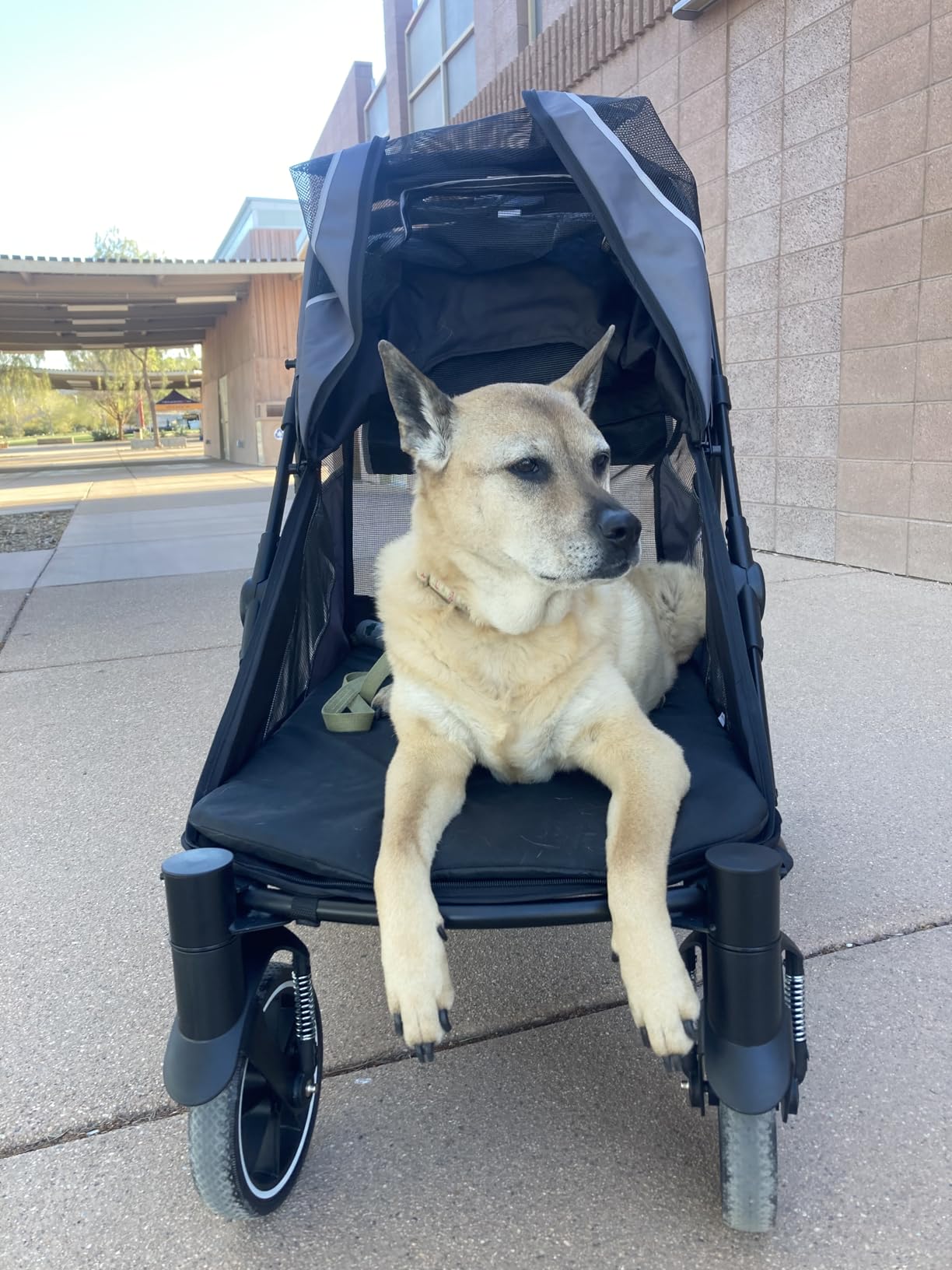Dog Stroller for Medium/Large Dogs One-Click Folding, Extra Large Pet Stroller for 2 Dogs with Storage Pocket & Shock Absorption, Up to 130 lbs, Red customer photo 1