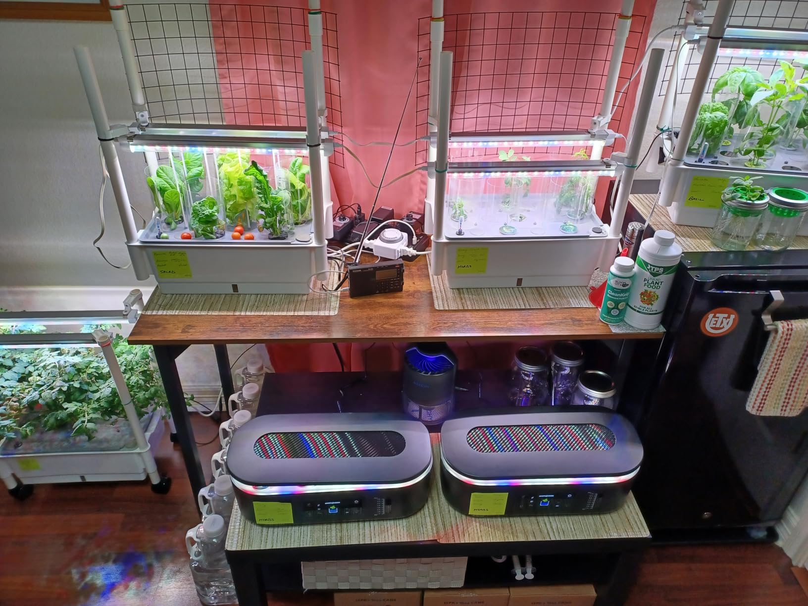 Hydroponics Growing System, AOONEG 28Pods Indoor Herb Garden with LED Grow Light, Hydroponics Growing System Kit with Automatic Timer, Pump System, Adjustable Height (No Seed, Glossy White, 2Layer-28Pods) customer photo 1