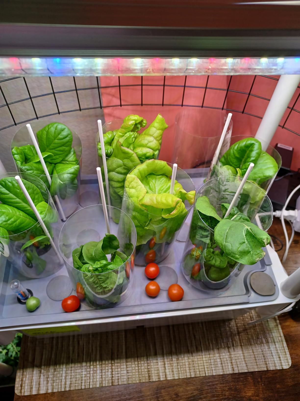 Hydroponics Growing System, AOONEG 28Pods Indoor Herb Garden with LED Grow Light, Hydroponics Growing System Kit with Automatic Timer, Pump System, Adjustable Height (No Seed, Glossy White, 2Layer-28Pods) customer photo 2