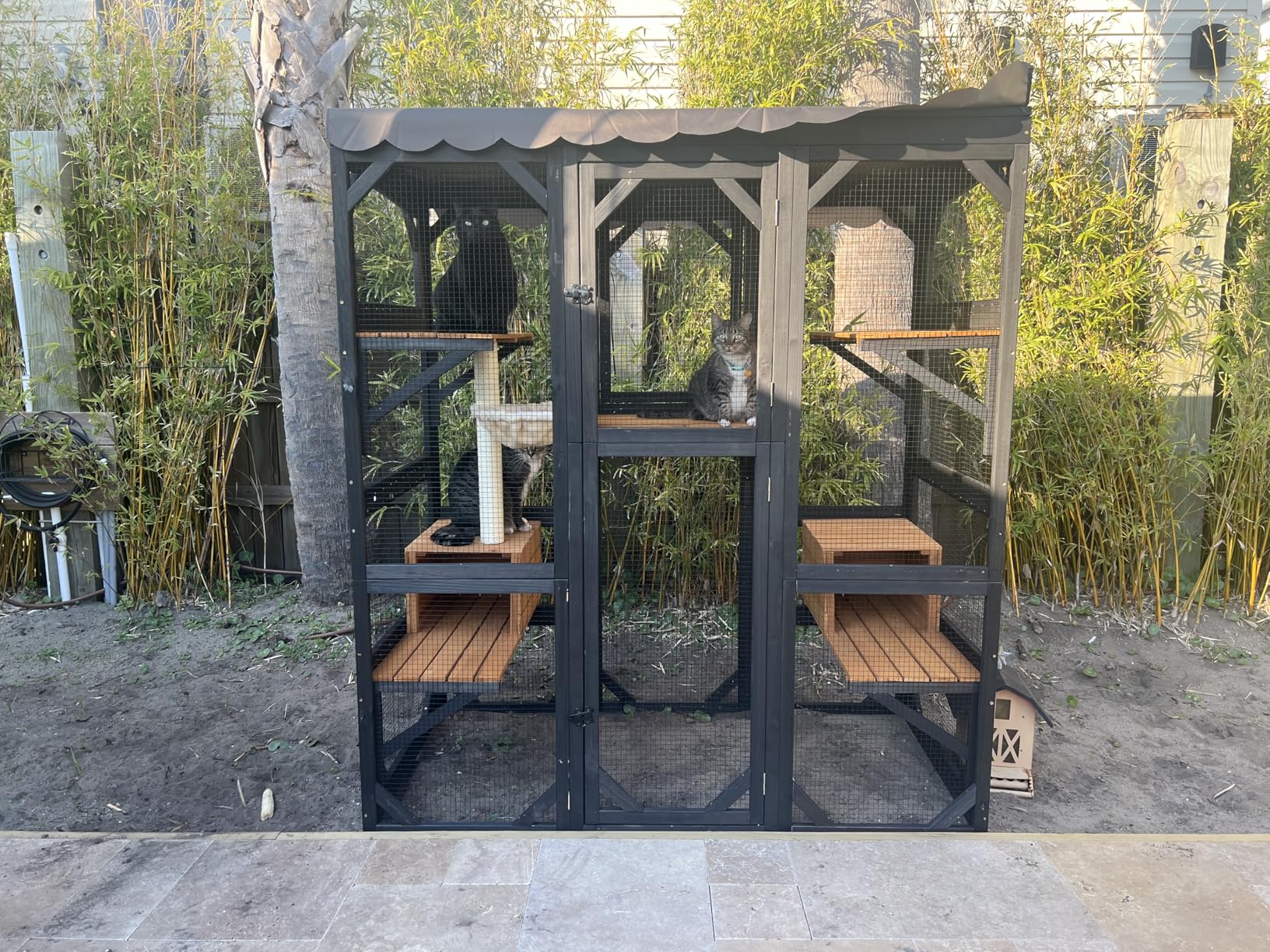 Aivituvin Catio Outdoor Cat Enclosure with 7 Platforms, 2 Resting Boxes, Large Window Cat House for 4-6 Multiple Cats Walk in Kitty Cage with Weatherproof Tarp Roof 70
