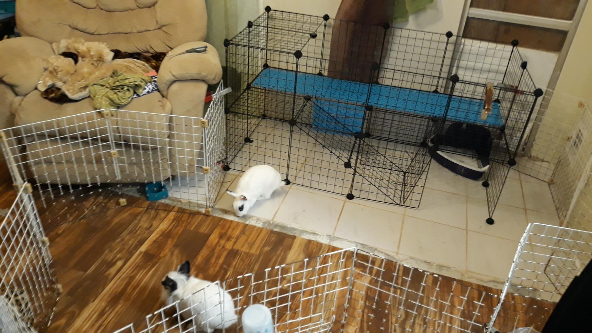 SONGMICS 36 Panels Pet Playpen, Small Animal Playpen, Rabbit Guinea Pig Cage, Zip Ties Included, Metal Wire Apartment-Style Two-Story Pet Premium Villa for Bunnies Puppies,Indoor Use, Black ULPI002B01 customer photo 2