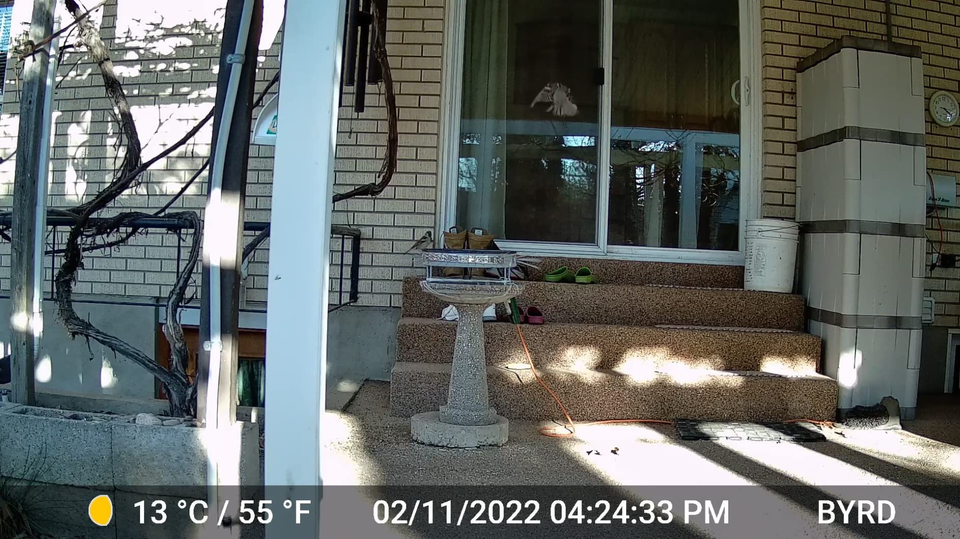 GardePro E8 WiFi Trail Camera (Non-Cellular), 64MP Photos, 1296P HD Videos, 120° Detection Angle with 0.1s Triple-PIR Motion Detection up to 100 ft, No-Glow Night Vision customer photo 2