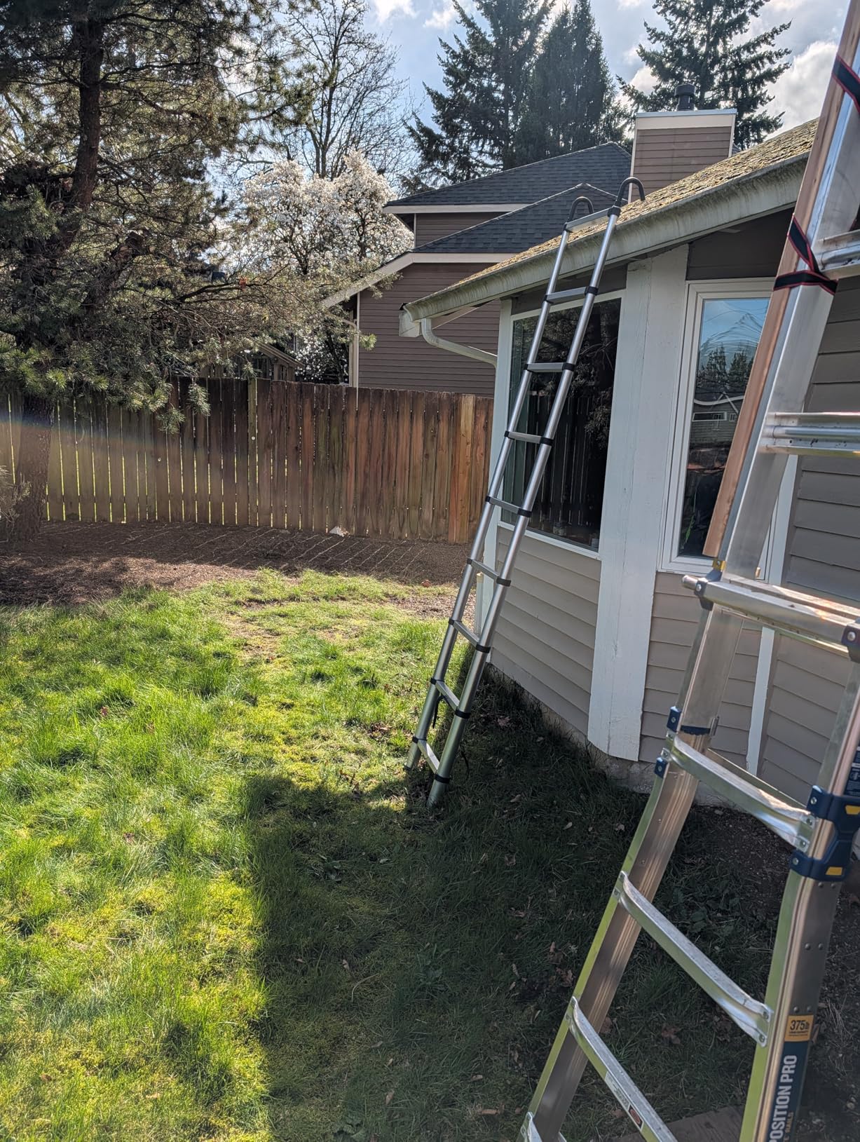 RIKADE Telescopic Ladder, 20.3 ft Aluminum Telescoping Ladder with Stable Hook and Non-Slip Feet, Portable Extension Ladder for Household and Outdoor Working, Max Load 330 lb, Black customer photo 1