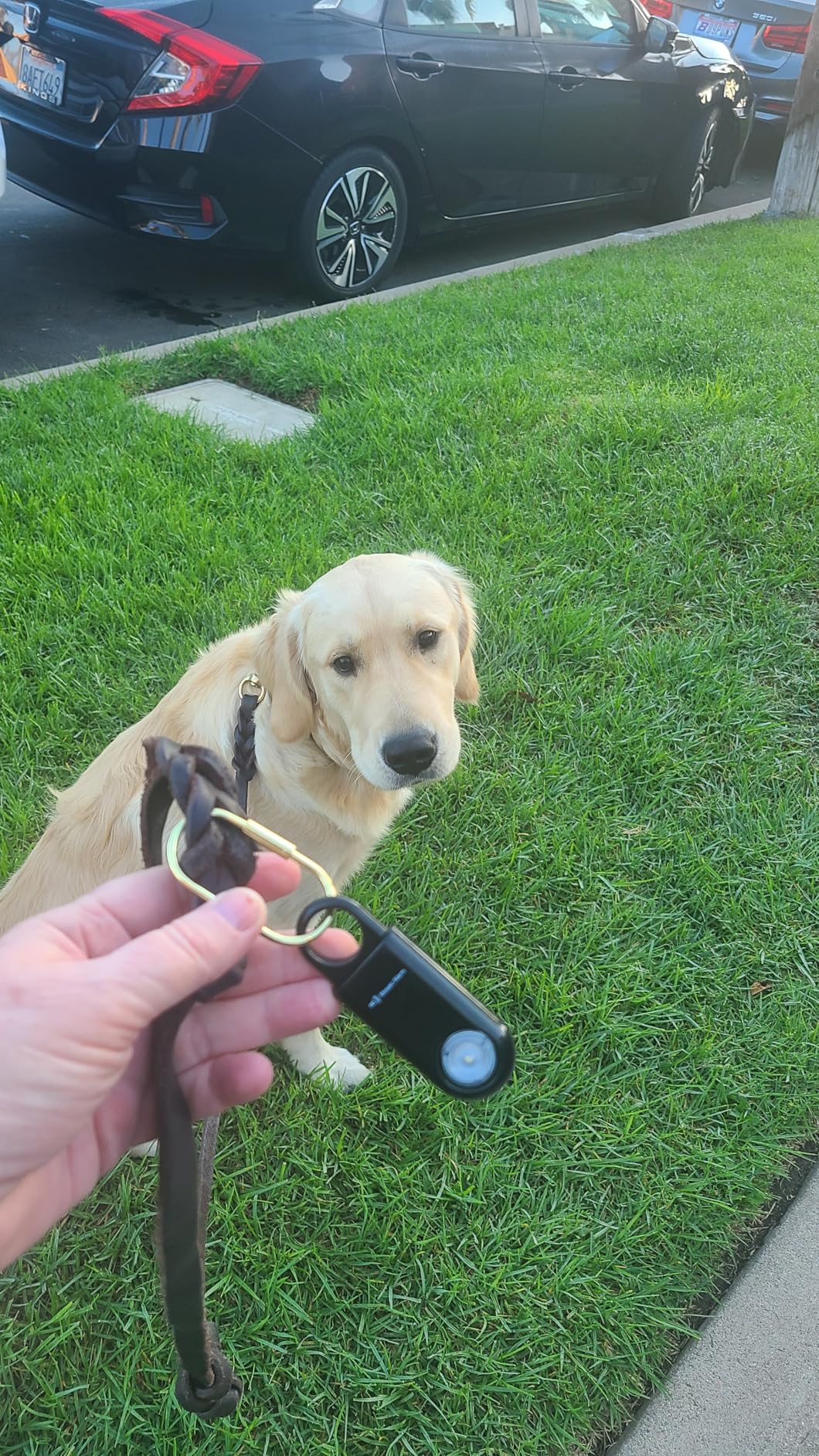 130dB Personal Safety Alarm Ultra Bright Strobe Light. Loud Sound Keychain Siren for Women, School Children, Night Runners, Hiking. Bear Alarm Deterrent. SOS Emergency Self Defense Alerts. Gold customer photo 1