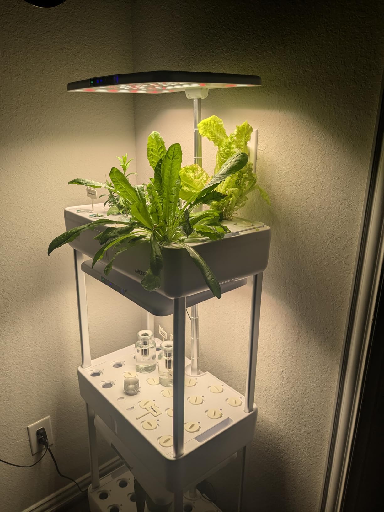 Ahopegarden Indoor Garden Hydroponics Growing System Kit: 66 Pods Plant Herb Garden Germination Kit with LED Grow Light, 30L Large Capacity Kitchen Hydroponics Planter customer photo 1