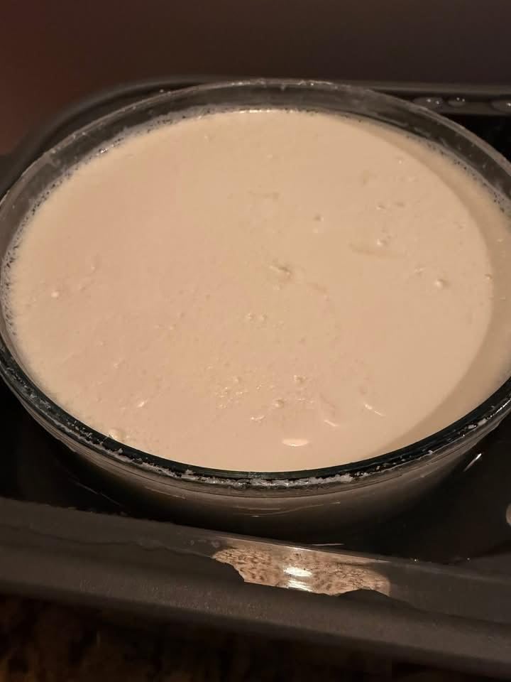 Ultimate Probiotic Yogurt Maker with Adjustable Temperature & Time Control - Make Trillions of Live Probiotics & Get Better Gut Health - ULTIMATE LIFETIME WARRANTY customer photo 1