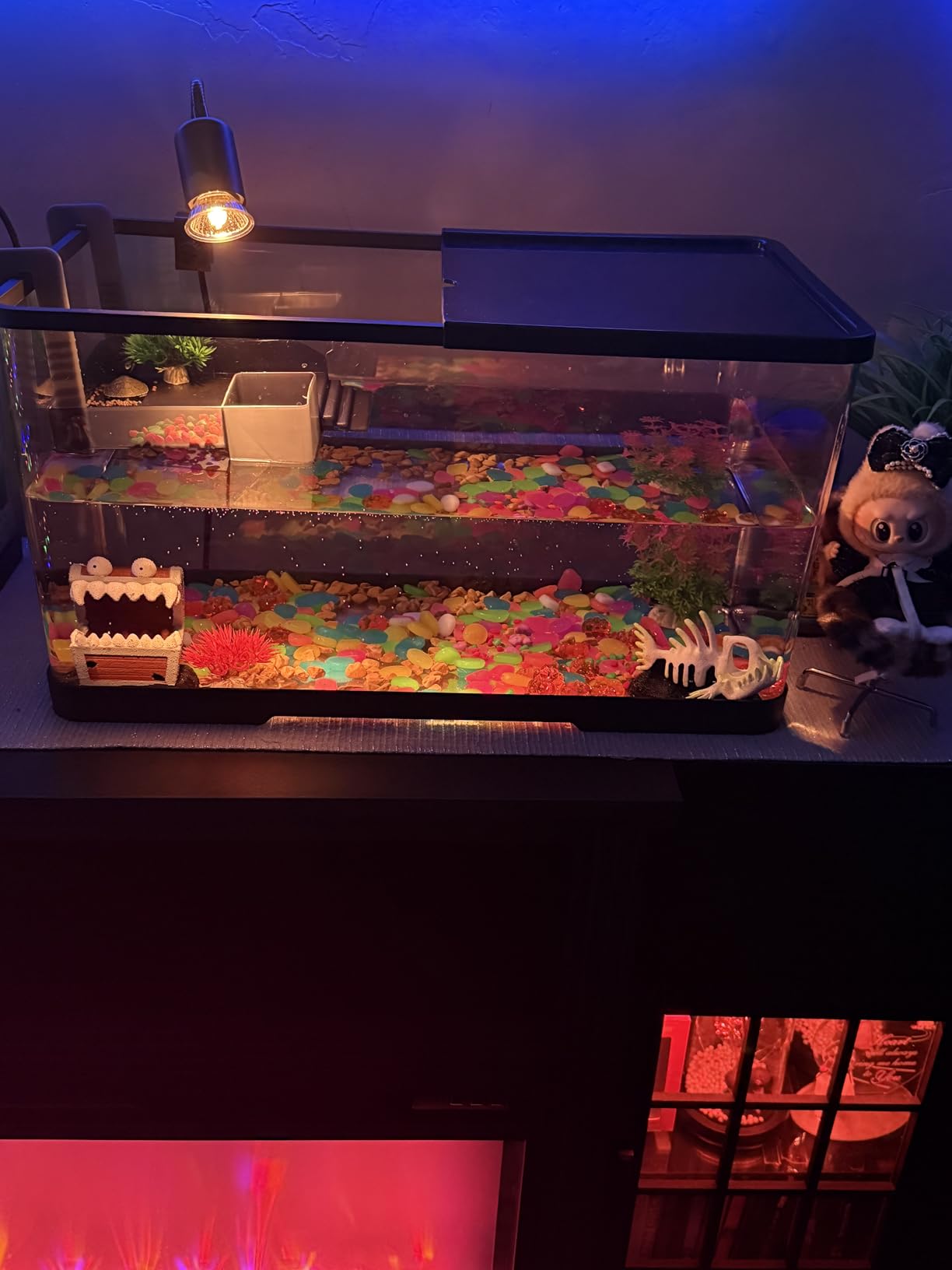 (Tank + Light + Filter + Filter Balls) Turtle Tank Kit, Turtle Tank Starter Kit,Bottom Drainage, Multi-Function Areas for Turtles, Crabs,Fishes, Amphibians,Reptiles. (15.75 x 8.64 x 8.64 Inch) New customer photo 1