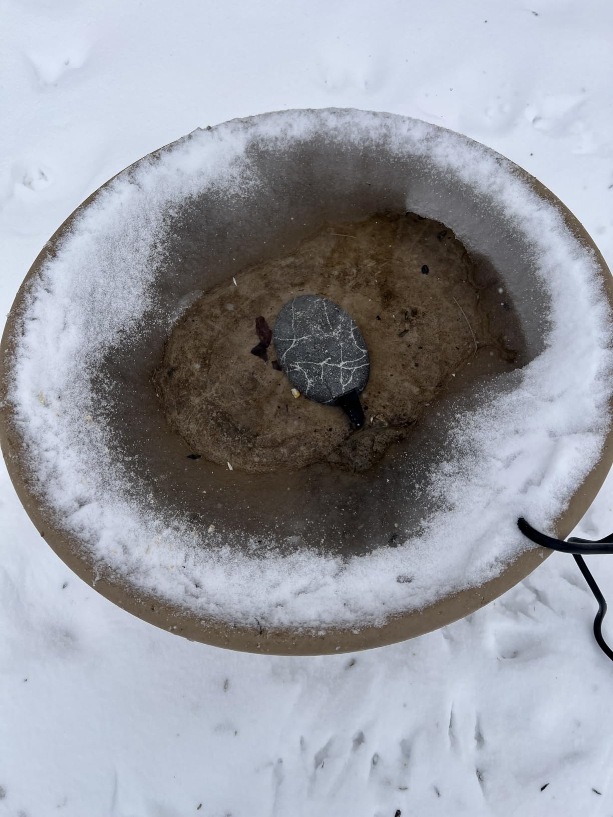 Bird Bath Heaters for Outdoors in Winter, 60W Chicken Water Heater Small Pond Heater De-Icer with Thermostatically Controlled customer photo 1