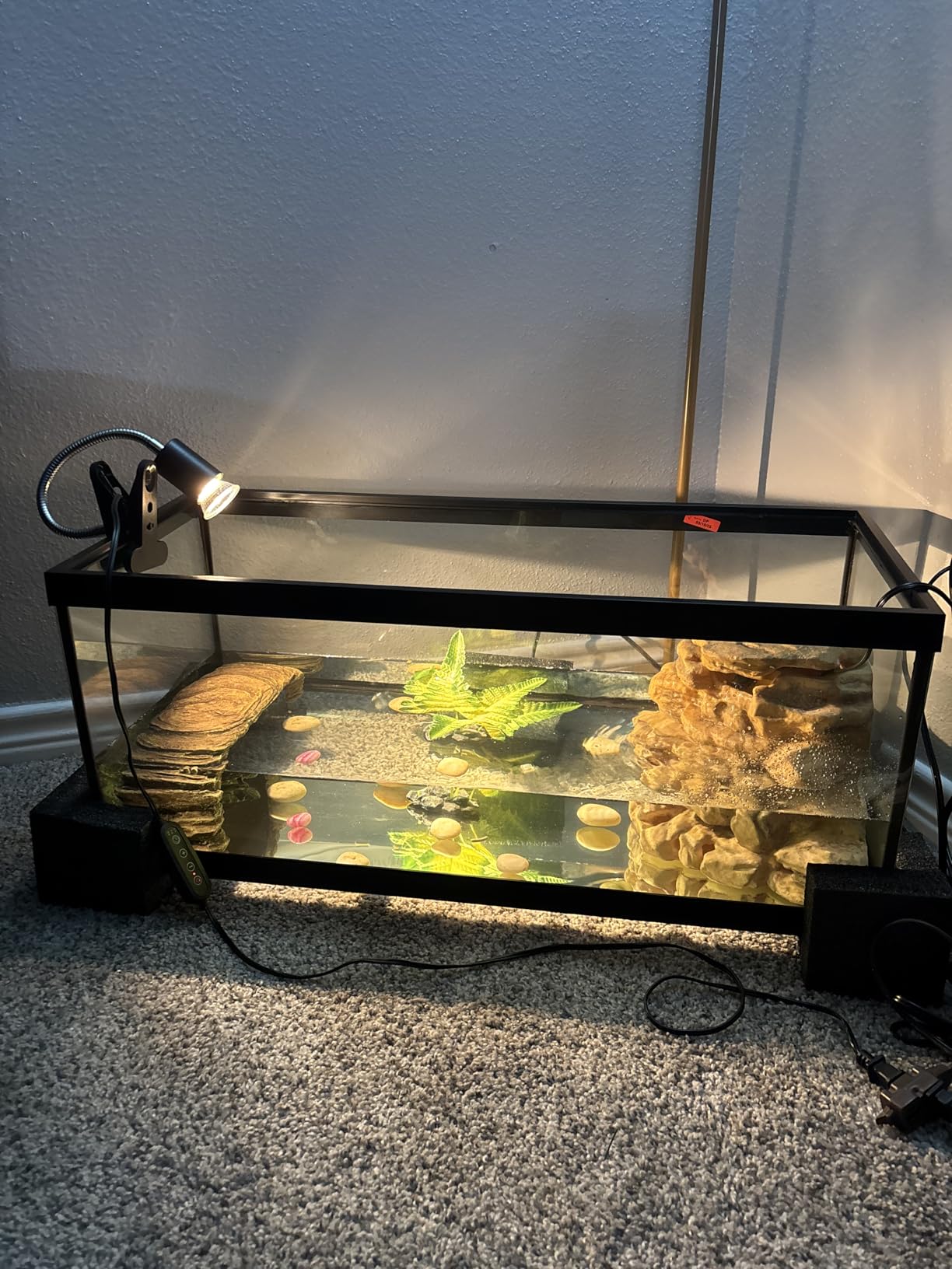 Tetra ReptoHabitat Kit for Aquatic Reptiles and Amphibians, 15 Gallons, Create a Home for Aquatic Juvenile Turtles, Frogs, Newts and Salamanders, 24.4 x 12.5 x 12.7 inches customer photo 1