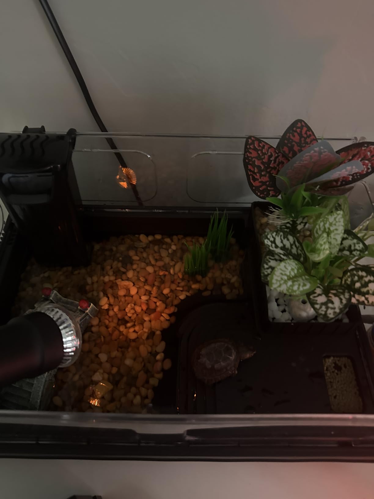GOZILLA Small Turtle Tank Kit(Tank+Lamp+Filter), Acrylic Turtle Starter Kit with Adjustable Lamp, Reptile Habitat and Terrarium with Multi-Functional Areas for Small Reptiles. (Black Kit) customer photo 1