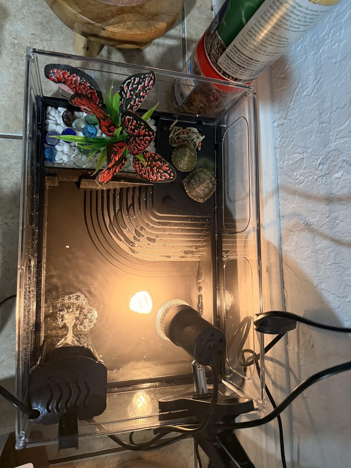 GOZILLA Small Turtle Tank Kit(Tank+Lamp+Filter), Acrylic Turtle Starter Kit with Adjustable Lamp, Reptile Habitat and Terrarium with Multi-Functional Areas for Small Reptiles. (Black Kit) customer photo 2