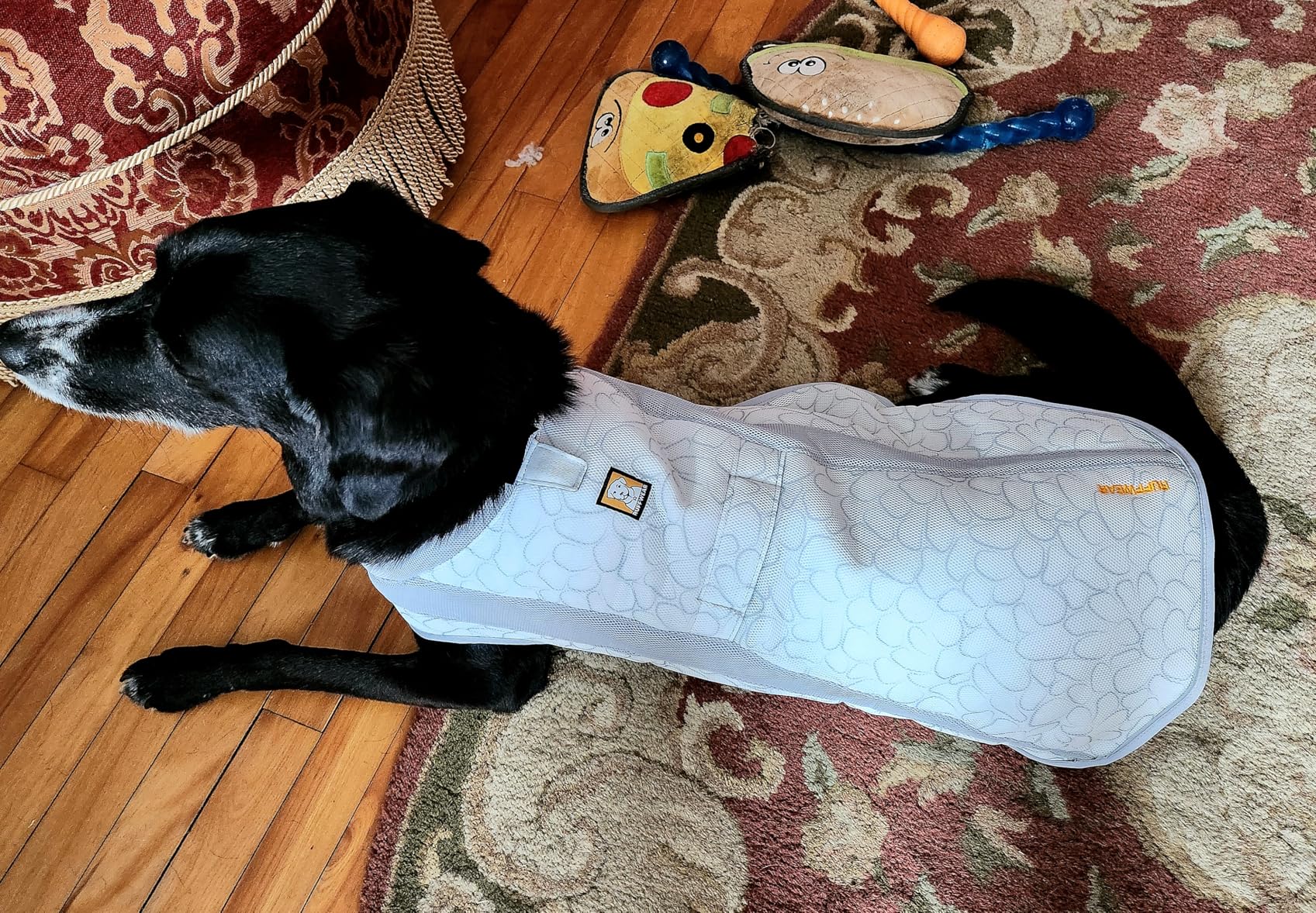 Ruffwear, Swamp Cooler Dog Vest, Evaporative Cooling for Hot Weather, Compatible with Most Harnesses, Biolumin Blue, Medium customer photo 1