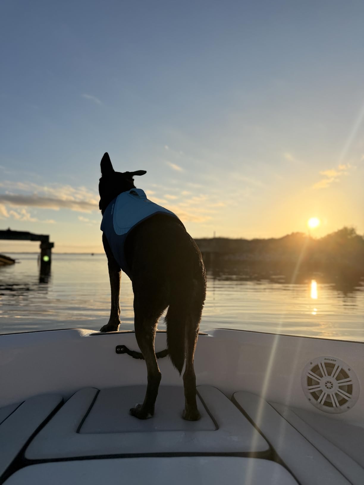 Ruffwear Float Coat Dog Life Jacket, Premium Buoyancy Swim Vest with Lift Handle, Secure Fit & Reflective Trim, Adjustable Flotation for Swimming, Boating, & Outdoor Adventures, Deep Blue, Large customer photo 2
