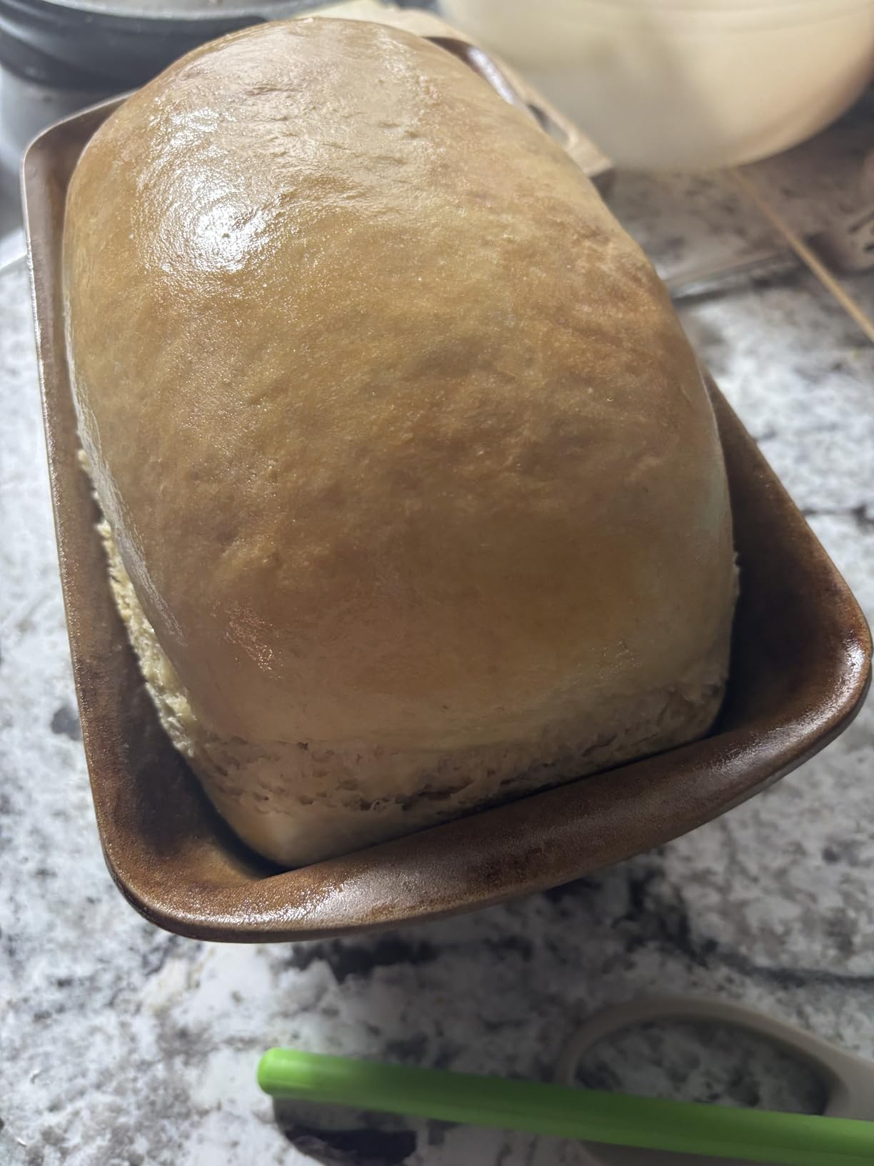 7L Electric Dough Mixer for Bread and Pizza Dough, Dough Maker Featuring a Ferment Function.304 Stainless Steel Whisk and a Top Small Window for Easy Add Water and Seasoning(Black） customer photo 1