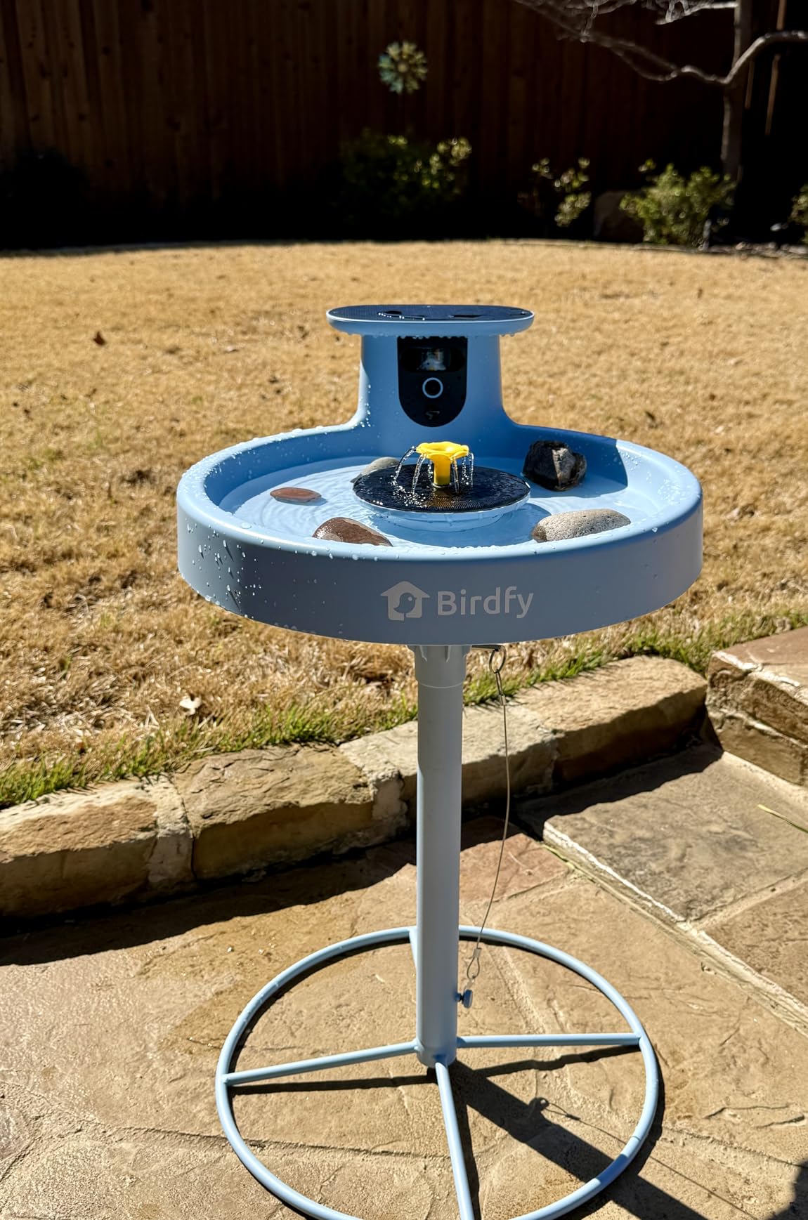 Birdfy Smart Bird Bath with Camera Solar Powered & Fountain & Stand, Dual-Lens Camera for Wildbird Watching, Auto Capture Bird Videos & Motion Detection (AI Lifetime) customer photo 1