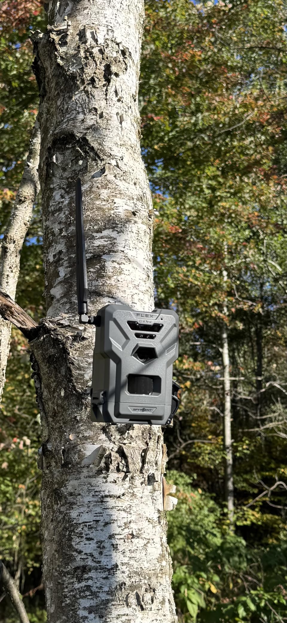 SPYPOINT Flex-Dark Twin Pack Cellular Trail Camera, 40MP Photos, 1080p Video + Sound, No-Glow Game Camera, Hunting Night Vision, Motion Activated, 100ft Detection, No WiFi Needed Trail Cam customer photo 2