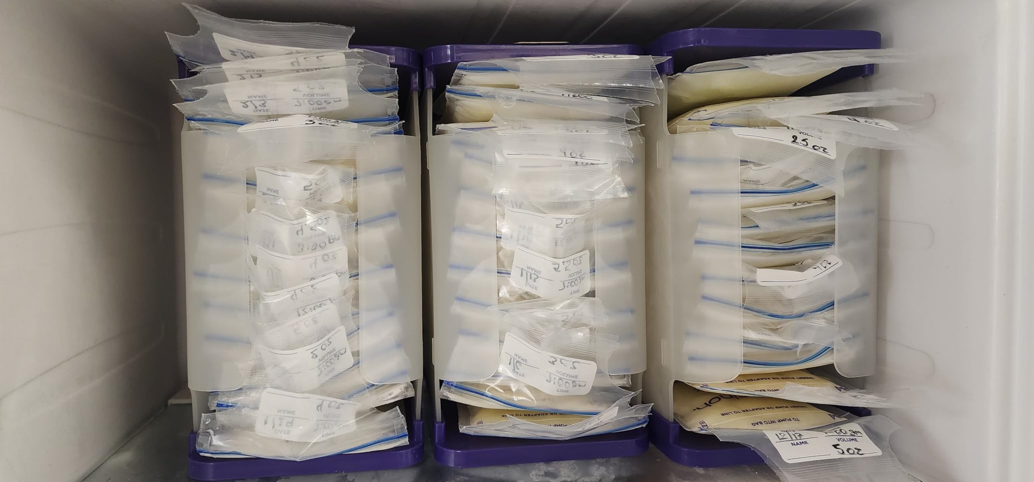 Lansinoh Breastmilk Storage Container with Quick-Freeze Tray, Stores up to 10 Breast Milk Bags, Made Without BPA/BPS, Includes 5 Milk Bags customer photo 1