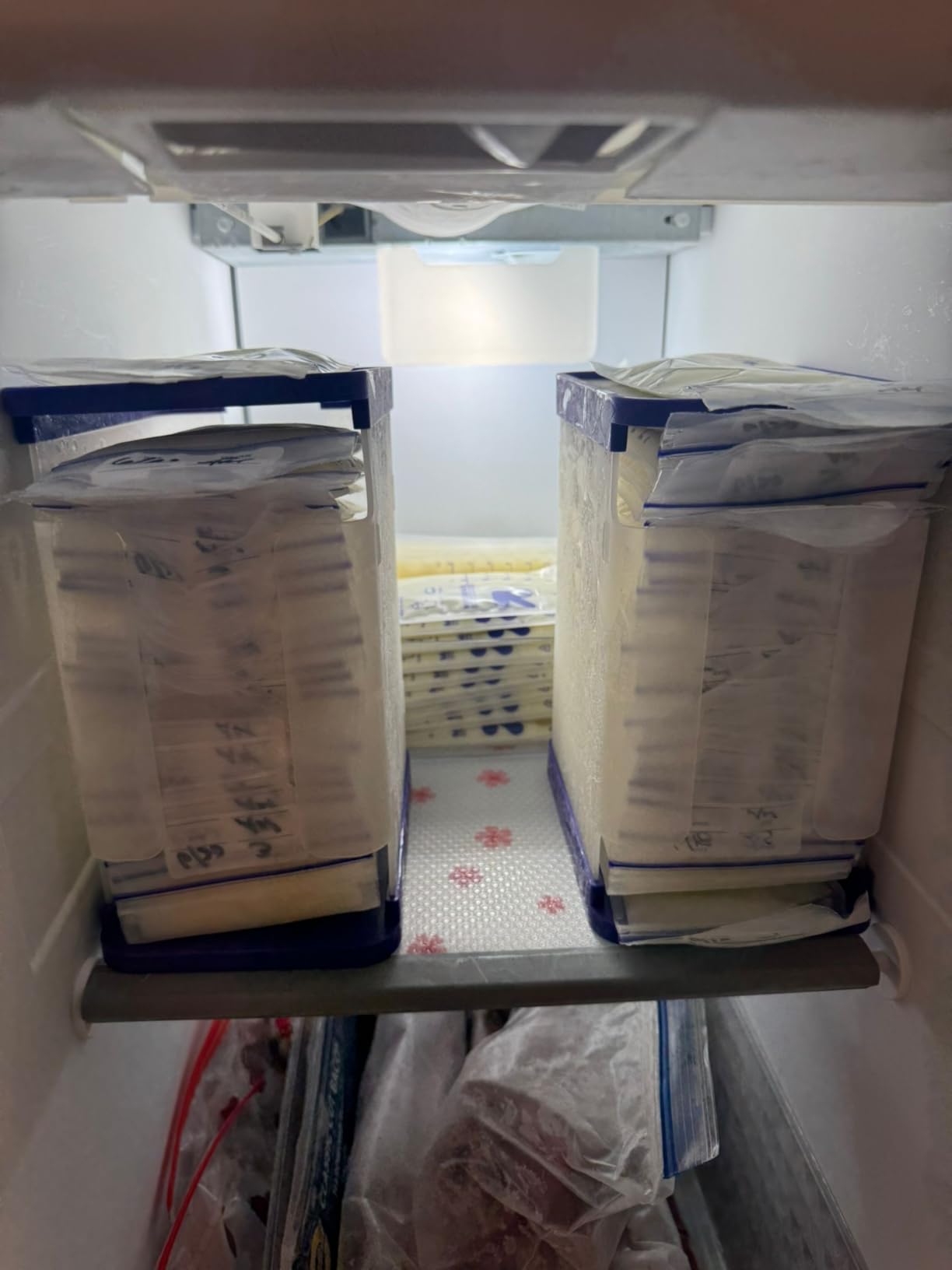 Lansinoh Breastmilk Storage Container with Quick-Freeze Tray, Stores up to 10 Breast Milk Bags, Made Without BPA/BPS, Includes 5 Milk Bags customer photo 2