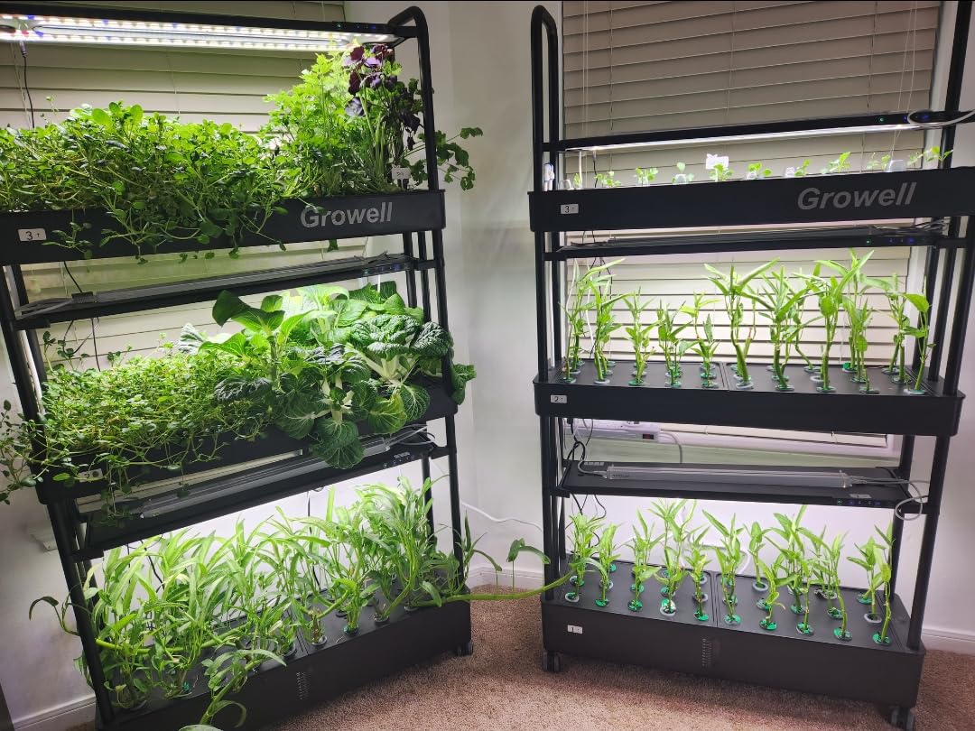 Growell Large Hydroponics Growing System Kit, 120 Pods Vertical Hydroponic Garden with 2 Light Modes Grow Light, Auto Circulating Water System, 48L Indoor Gardening System for Herb Vegetable Fruit customer photo 1