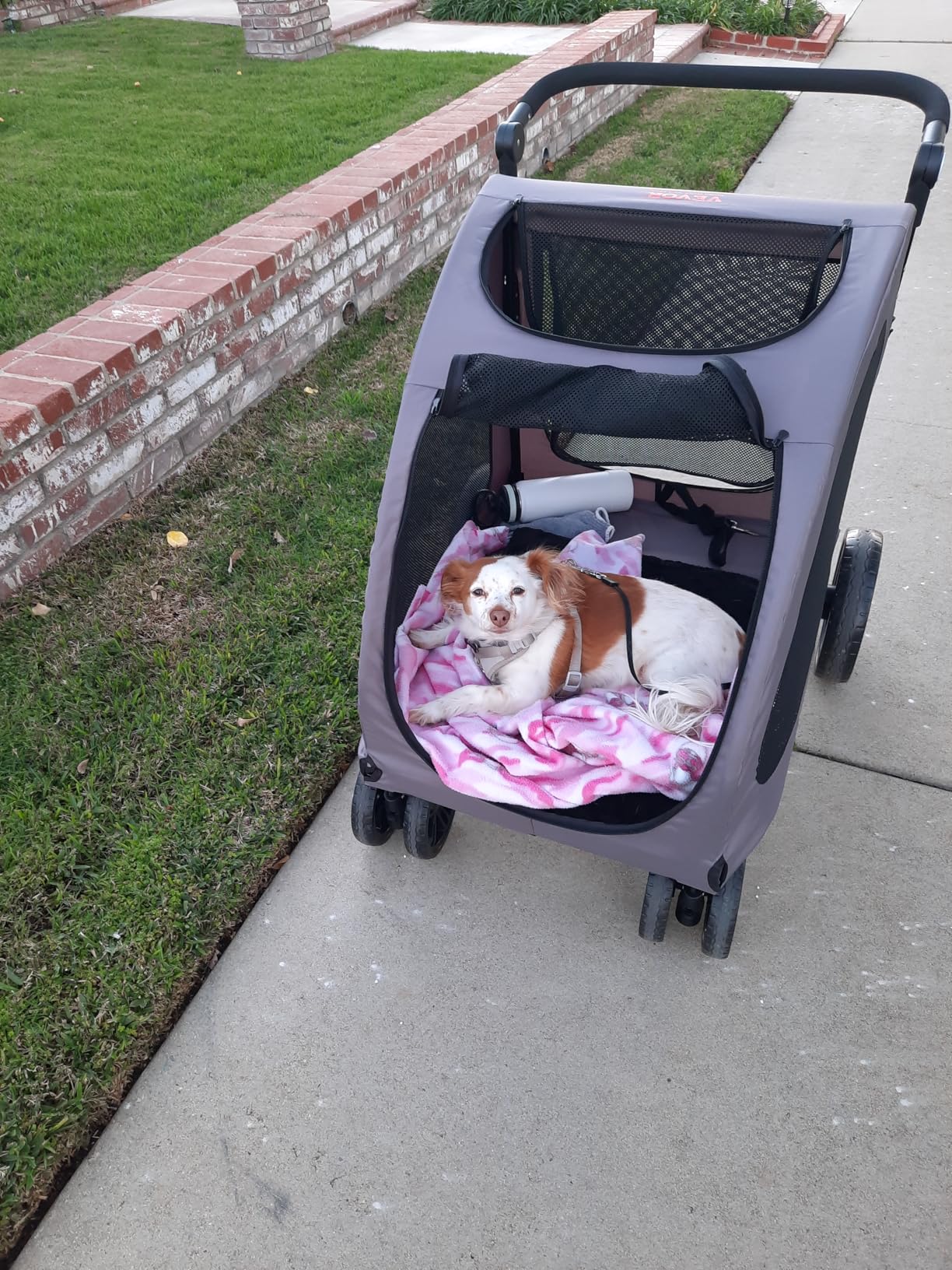 VEVOR Pet Stroller, 4 Wheels Dog Carrier with Brakes, 160lbs Weight Capacity, Portable Puppy Travel Strollers with Breathable Mesh Windows & Height-Adjustable, for Cats & Dogs customer photo 2