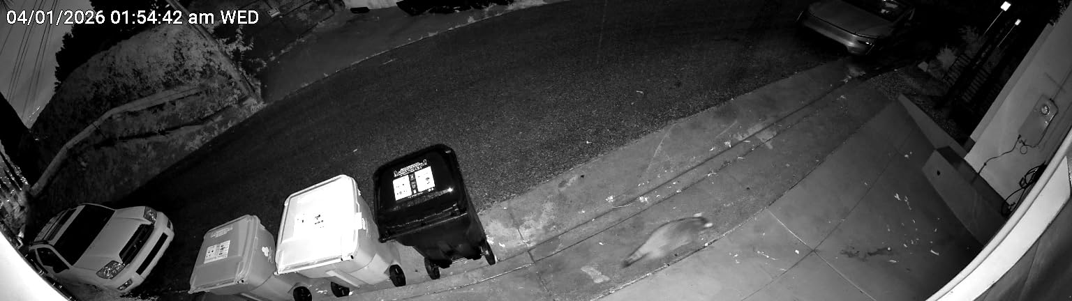REOLINK Elite Pro Floodlight PoE - 16MP Dual Lens, 180° View, Local AI Video Search customer photo 1