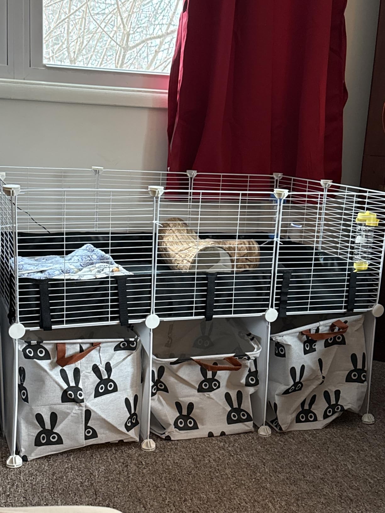 MEEXPAWS Guinea Pig Cages Small Animal Playpen with Waterproof PVC Liner & Washable Pee Pad & Storage Space, C&C Cage for Guinea Pigs, Hedgehog, Hamsters, Ferrets,Indoor Enclosure Wire Yard Playpen customer photo 2