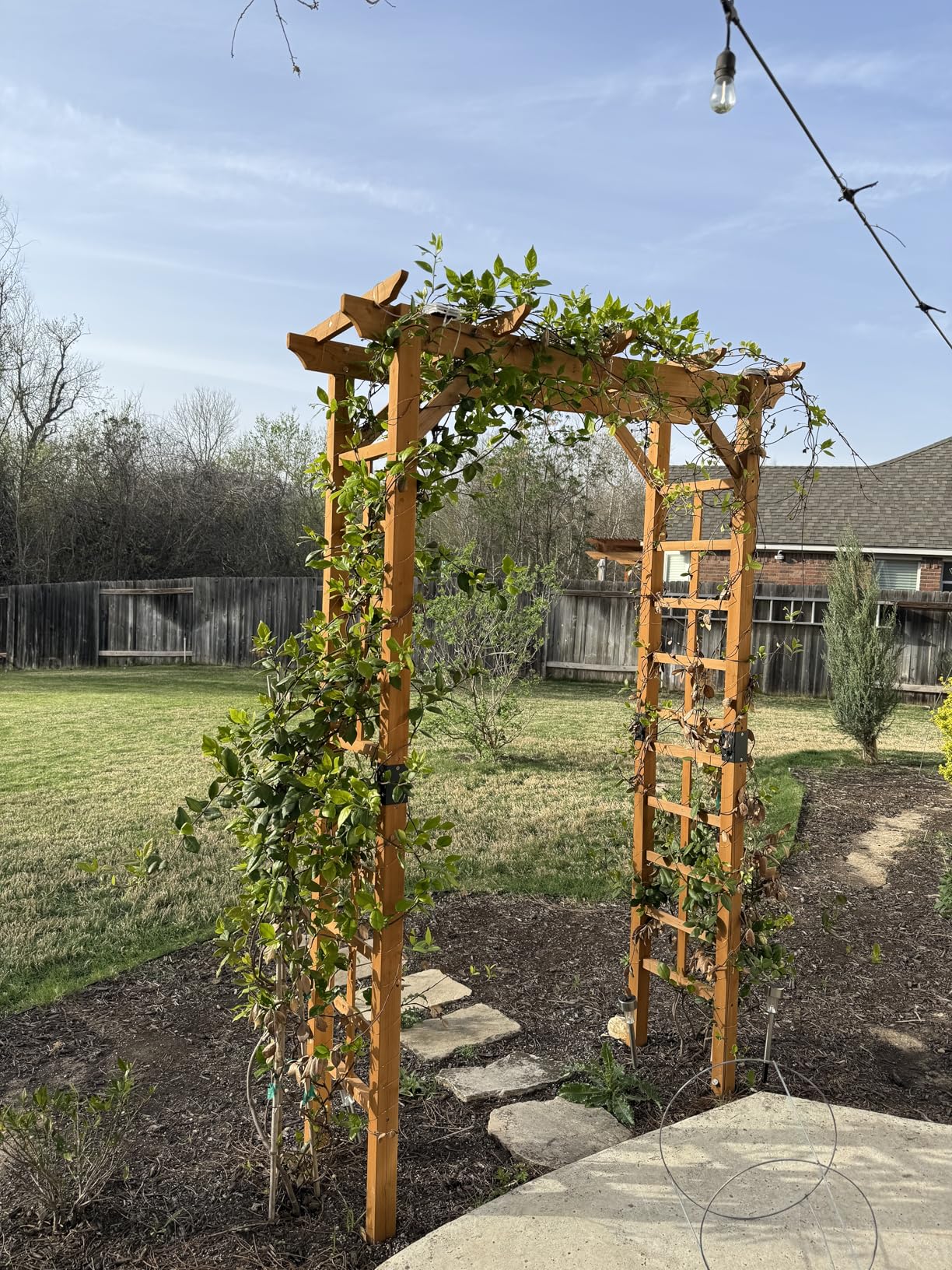 Giantex 7.5FT Wood Garden Arbor Trellis, Wooden Wedding Arch for Ceremony Party, Outdoor Archway Pergola for Climbing Plants, Pathway, Yard, Garden Decor, Easy Assembly (Honey Brown, 63''W x 90''H) customer photo 2