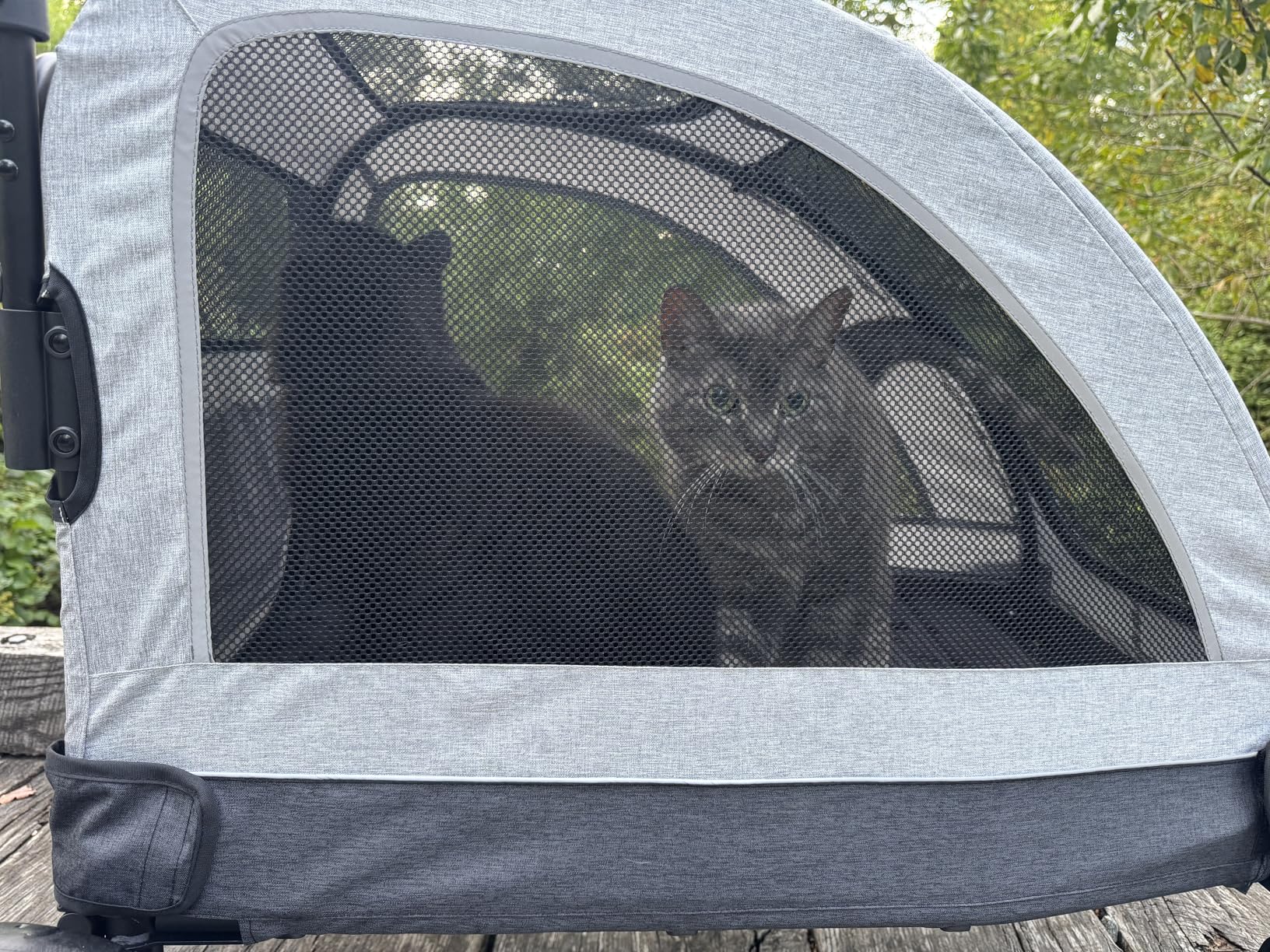 Large Dog Stroller - Dual Entry Safety Folding Pet Stroller with Adjustable Handle, All-Terrain 4-Wheel, 160 lbs Weight Capacity for Travel & Outdoor Adventures - Gray customer photo 1