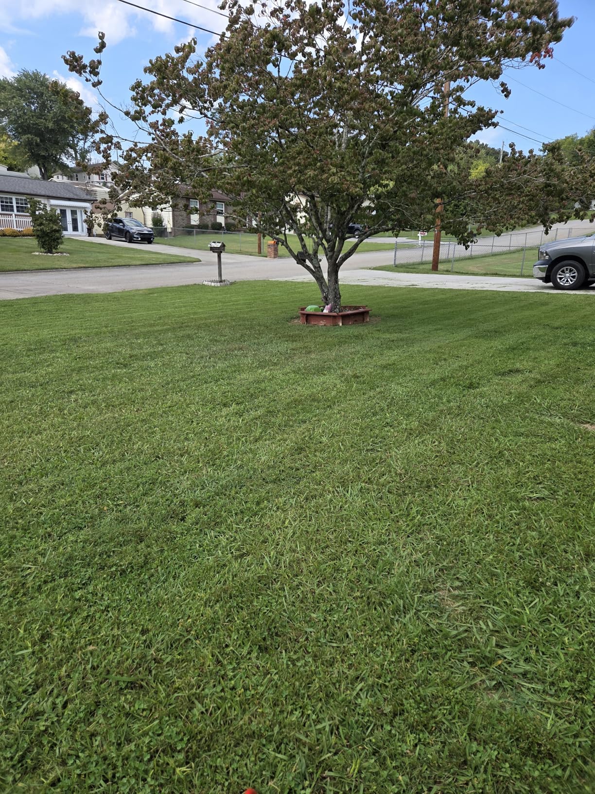 Suchtale Lawn Striping Kit for Push Mowers, Heavy-Duty Stainless Steel Roller, Universal DIY Lawn Striper with Large Easy-Fill Sand Port & Funnel, Adjustable Design, Fits Gas or Electric Lawn Mowers customer photo 1