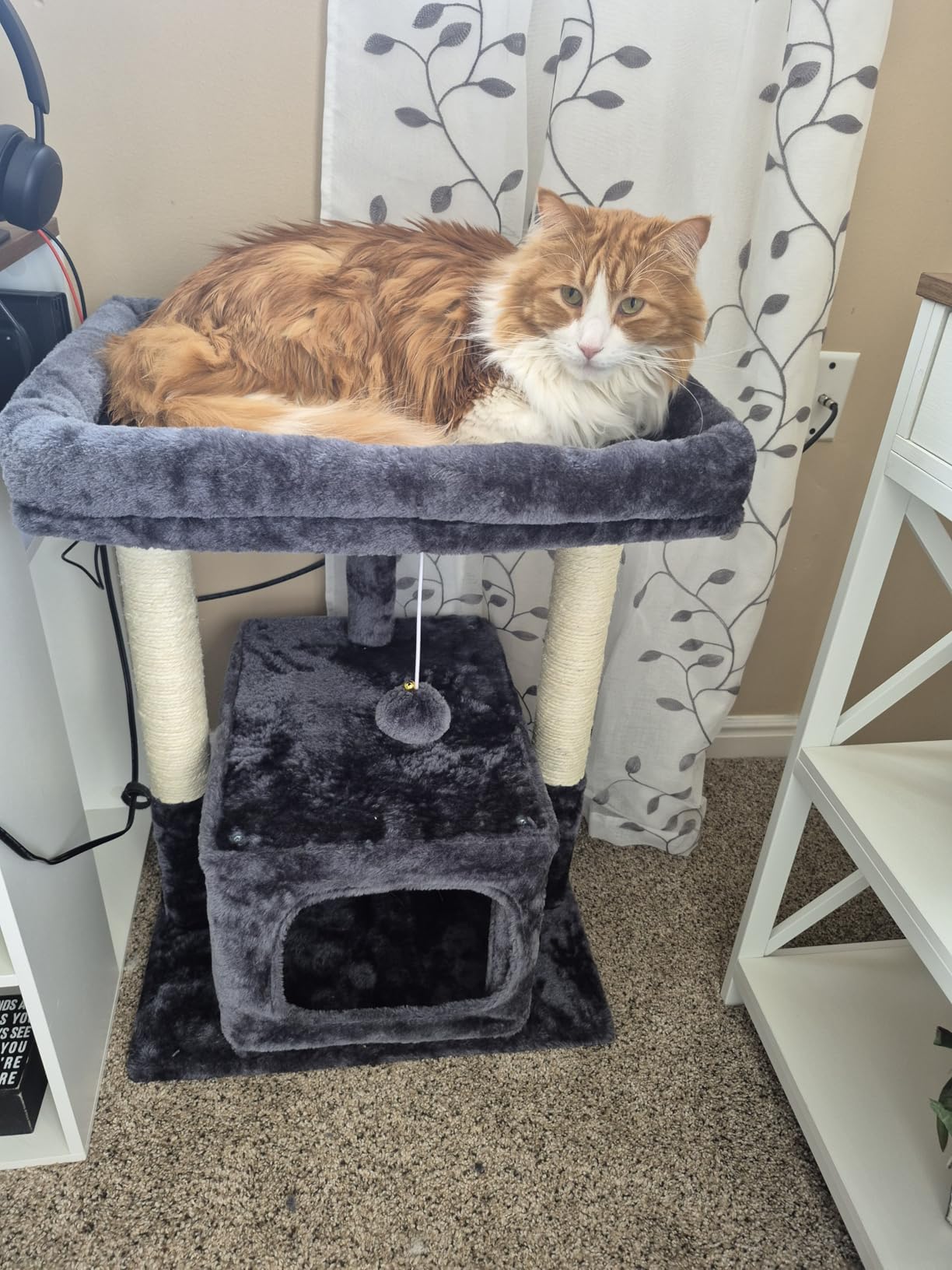 SYANDLVY 27IN Cat Tree for Indoor Cats Large Adult, Modern Activity Tower with Scratching Posts, Condo with Plush Perch, Climbing Stand with Spring Ball for Play, Grey customer photo 1