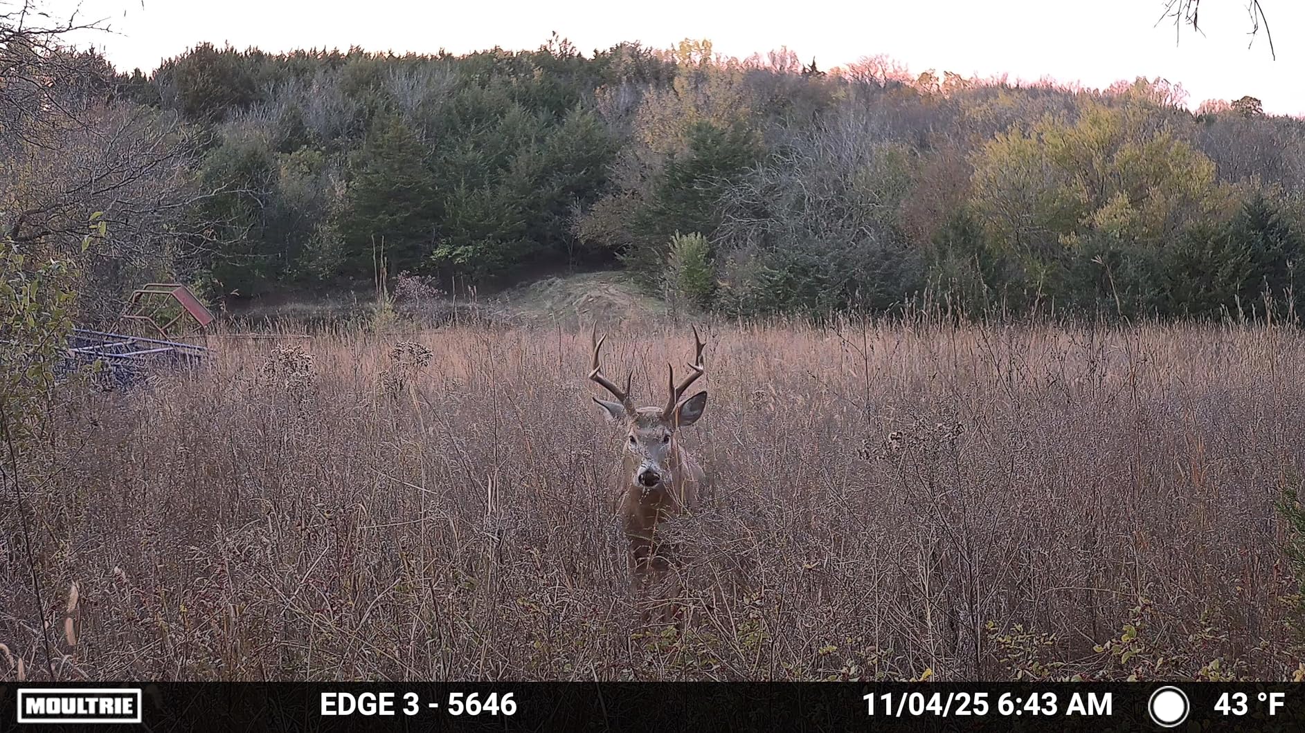 Moultrie Edge 3 Cellular Trail Camera - 40MP HD Photo Capture - 1080p Low-Glow Flash - GPS - Multi-Carrier Auto-Connect - Built-in Memory - 0.5s Trigger Speed - AI Buck Detection customer photo 1
