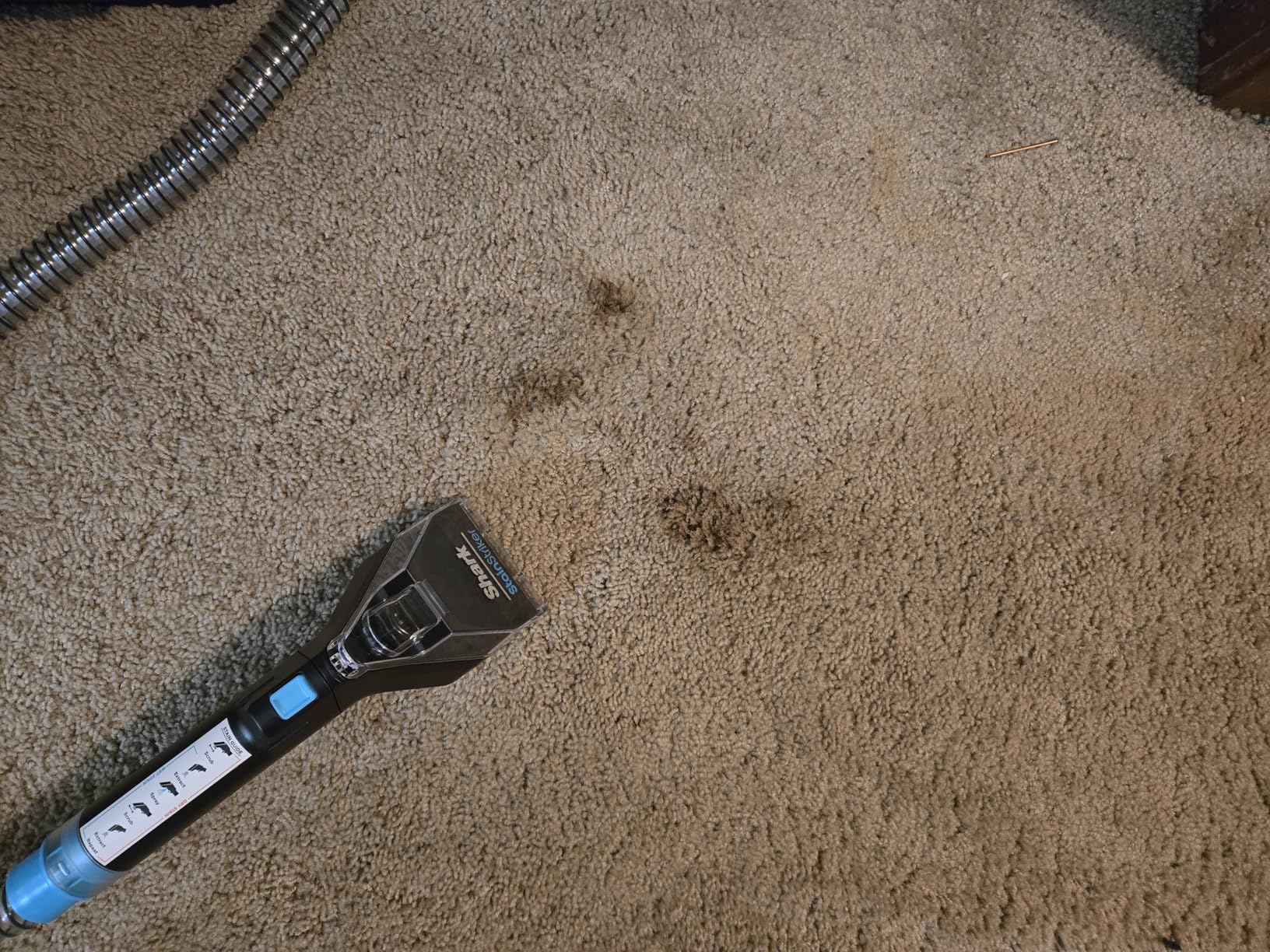 Shark StainStriker Portable Carpet & Upholstery Cleaner w/on board self cleaning - Spot, Stain, & Odor Eliminator, Includes 2 Cleaning Tools & 2 Cleaning Solutions, Charcoal, PX221BRN customer photo 1