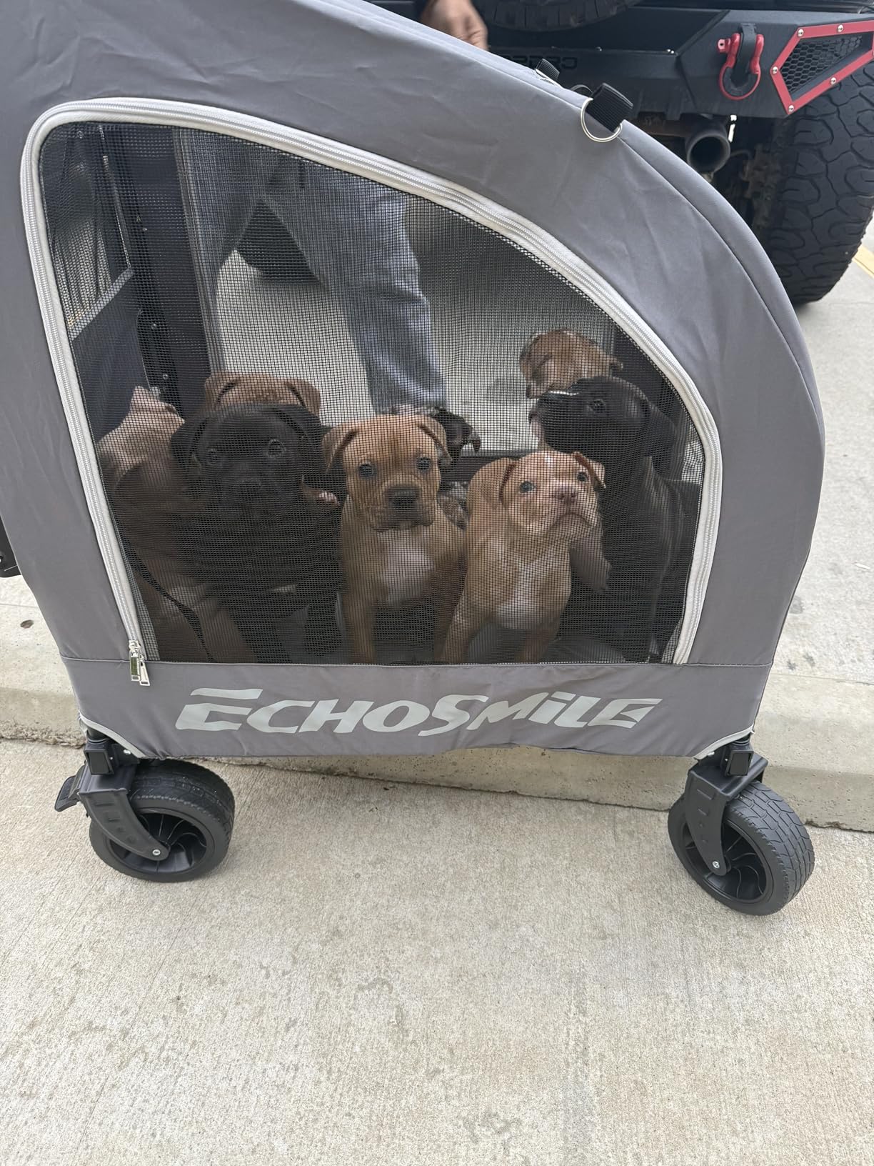 EchoSmile 4 Wheels Pet Stroller, Dog & Cat Stroller for All-Season, Lightweight Carrier with Storage Basket, Adjustable Handle, Removable Pad, Breathable Mesh, Up to 135 lbs, Grey customer photo 2
