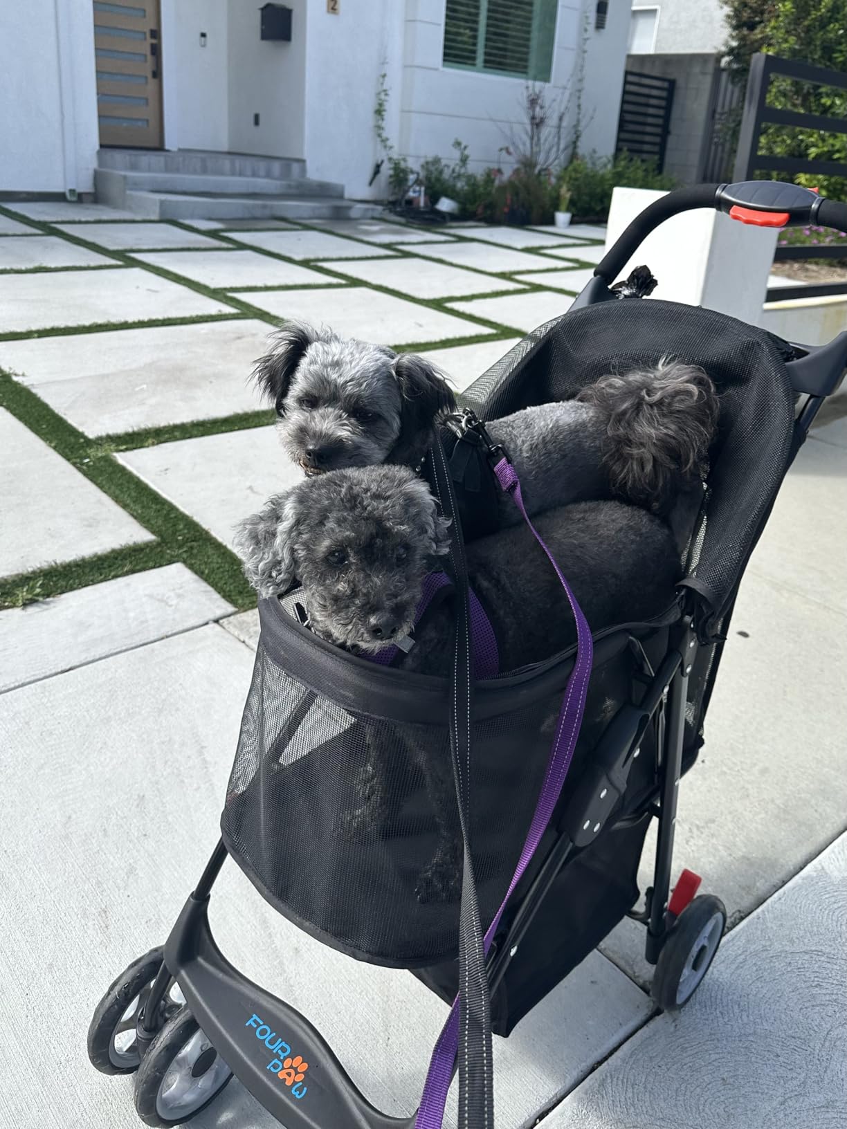Dog Stroller for Medium/Large Dogs - Easy Fold Dual Entry Pet Stroller with One-Foot Brake, Ideal up to 80 lbs customer photo 1