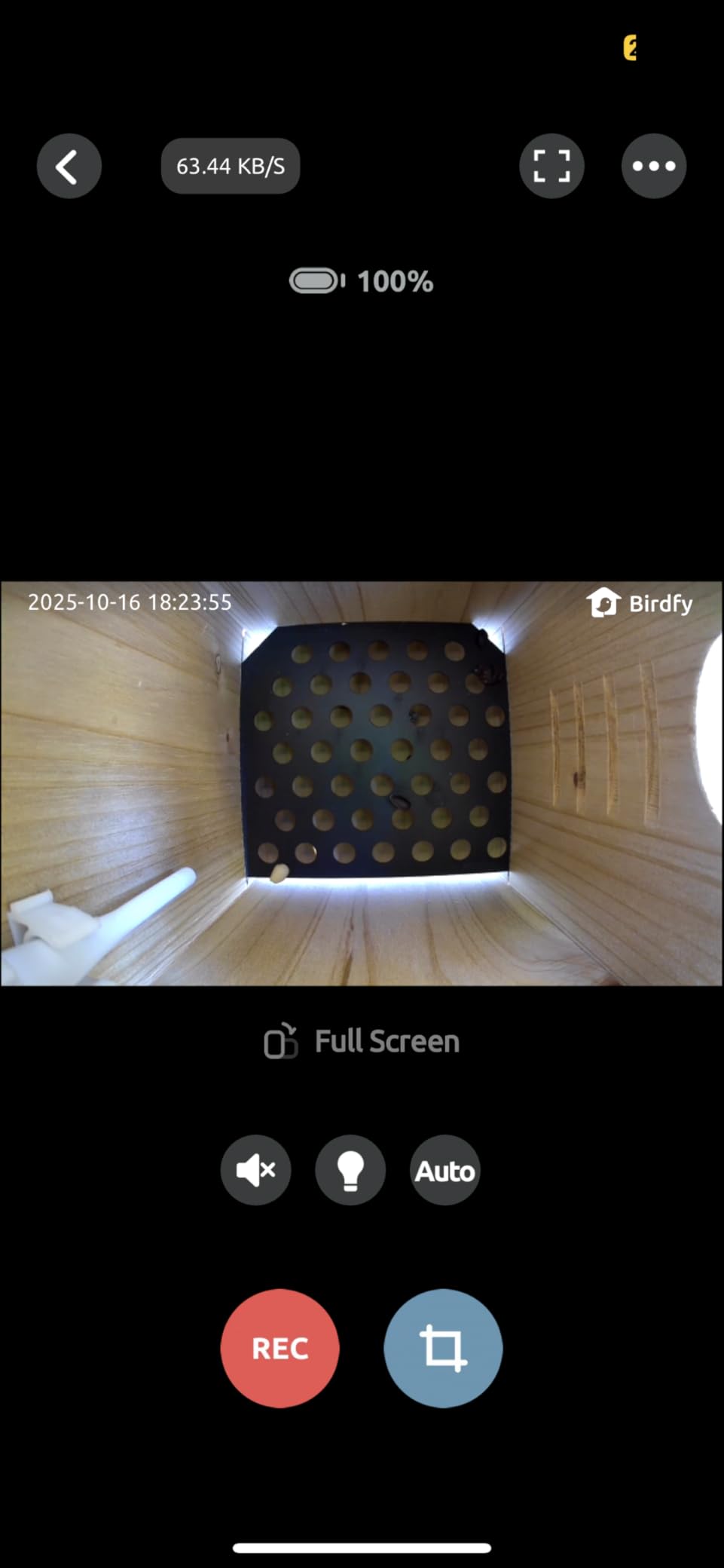 Birdfy Smart Bird House with Camera Solar Powered, 1080HD Live Video & Night Vision for 24/7 Nesting Recording, Auto Detect & Notify, AI Identify Lifetime Free customer photo 2