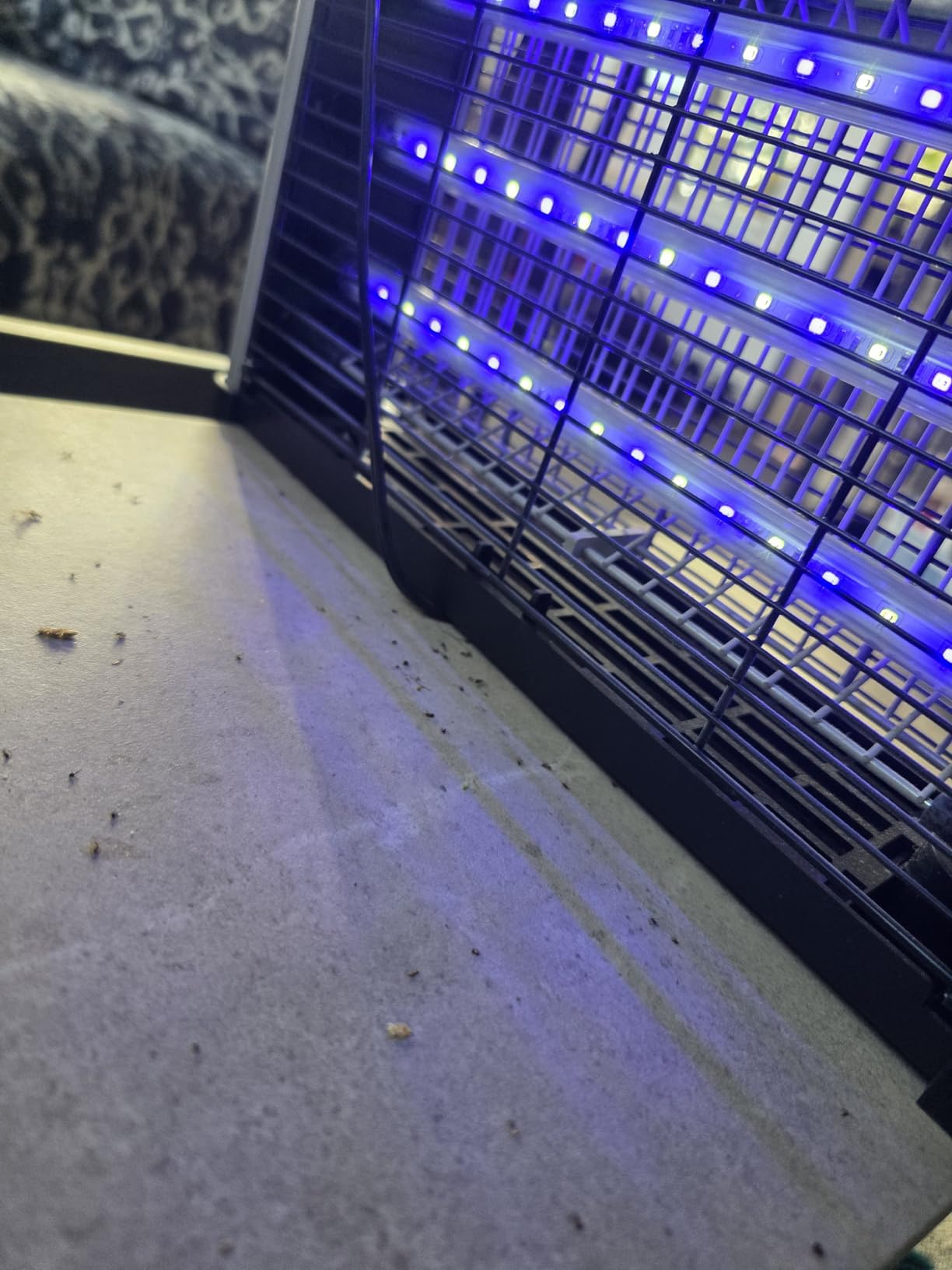 Buzbug LED Bug Zapper Indoor, 3800V High-Voltage, 3 LED Bulbs Up to 50,000 Hours, Electric Mosquito Zapper, Fly Trap Mosquito Trap, Fly Killer Fly Zapper -MA009 customer photo 2