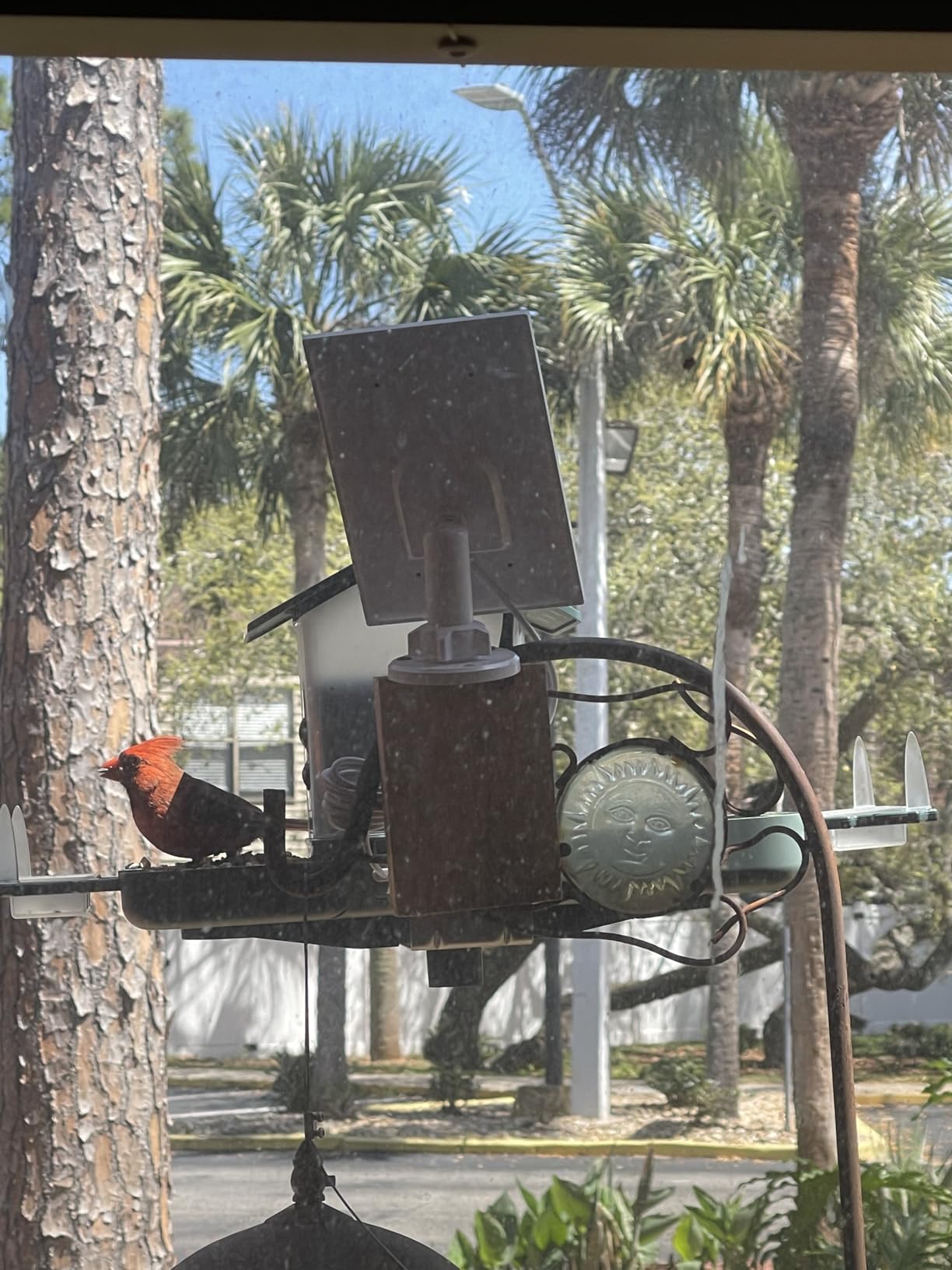 Dual-Lens Bird Feeder with Camera & Bird Bath Combo, Watch Birds Eat & Bathe with WiFi 2K HD Video, Auto Record, AI Recognition, APP Alerts, Solar Powered customer photo 1