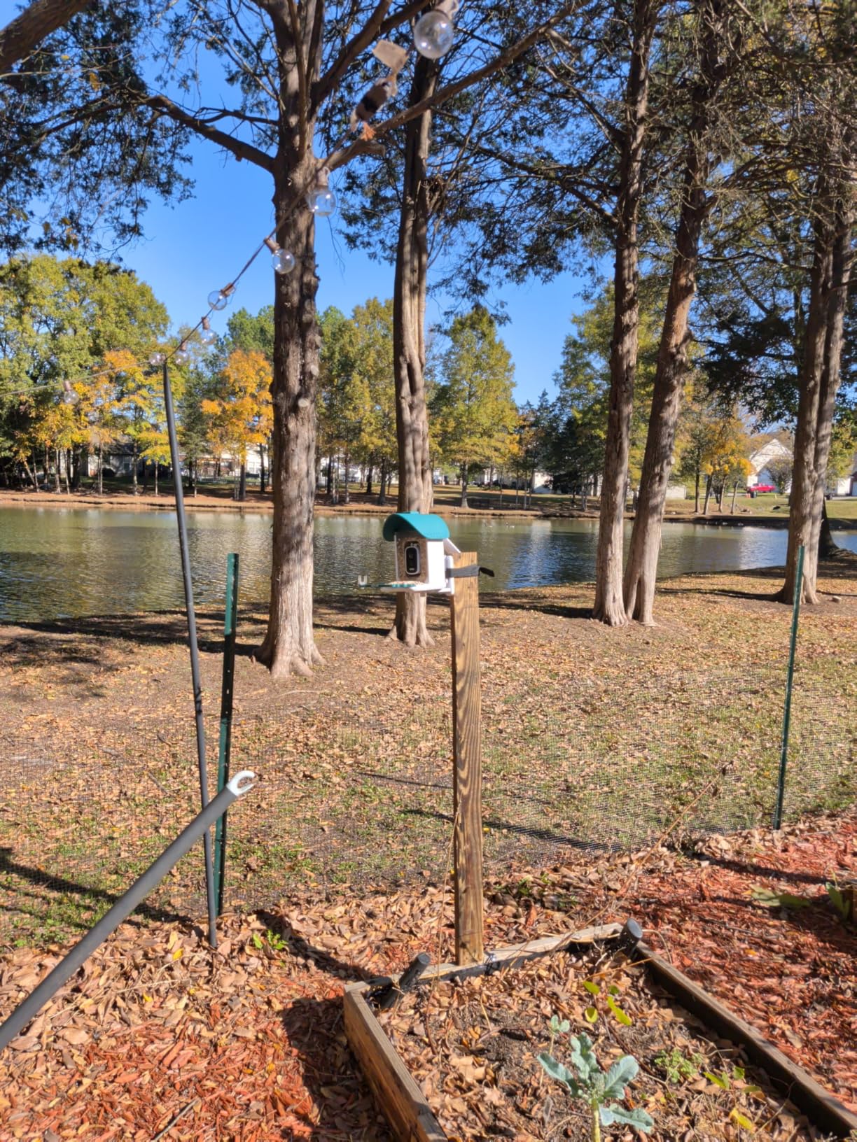 Bird Feeder with Camera, 3K Smart Bird Camera with AI Identification & Bird Bath, Solar Powered Wireless Outdoor Bird House with Spill-Proof Net customer photo 2