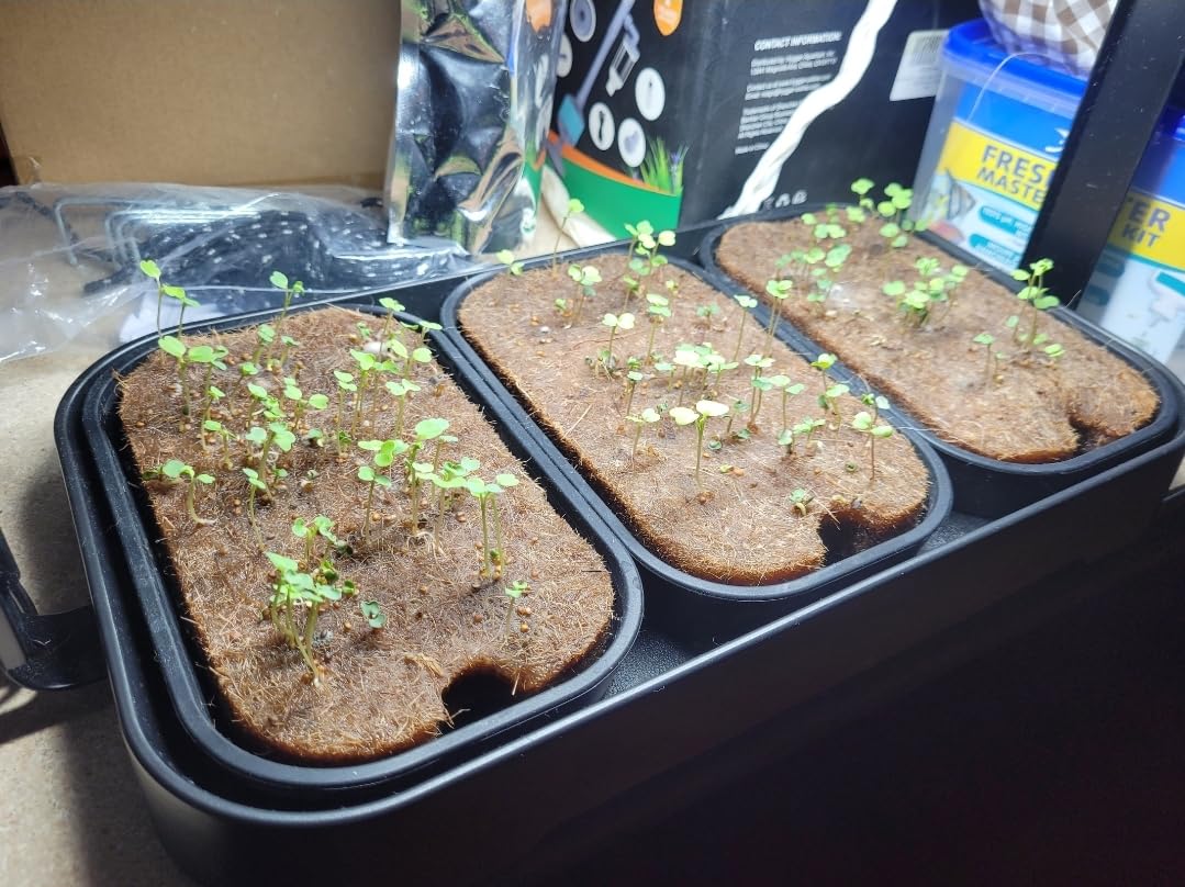 Microgreens Growing Kit Indoor, Micro Greens Indoor Herb Garden Kit with LED Light, 3 Microgreens Growing Trays, 6 Jute Mats - Indoor Grow Kit & Herb Growing Kit (No Seeds) customer photo 2