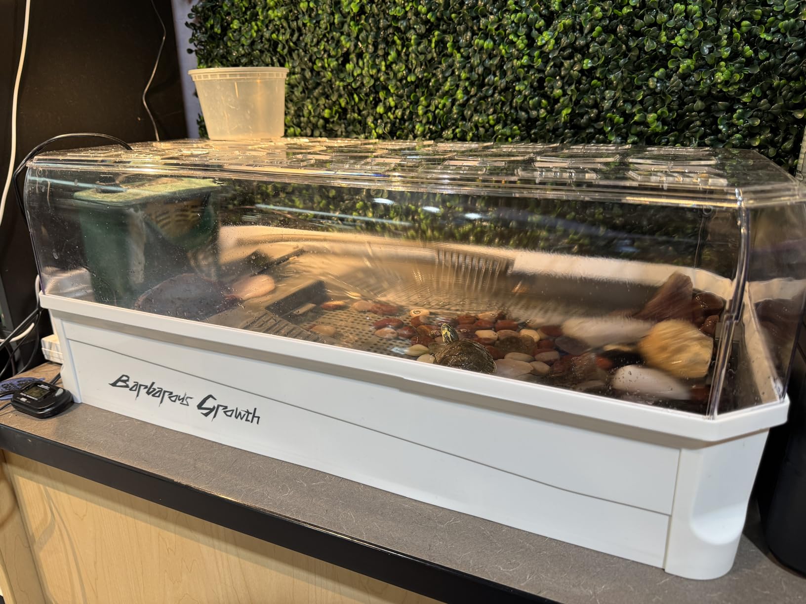 Turtle Habitat Spacious Turtle Tank Kit with Rain Shower Filter SPA & Easy Drain - Perfect for Baby Turtles, Red Eared Sliders Tortoises Green, 18.2x9.2x8 Inch customer photo 1