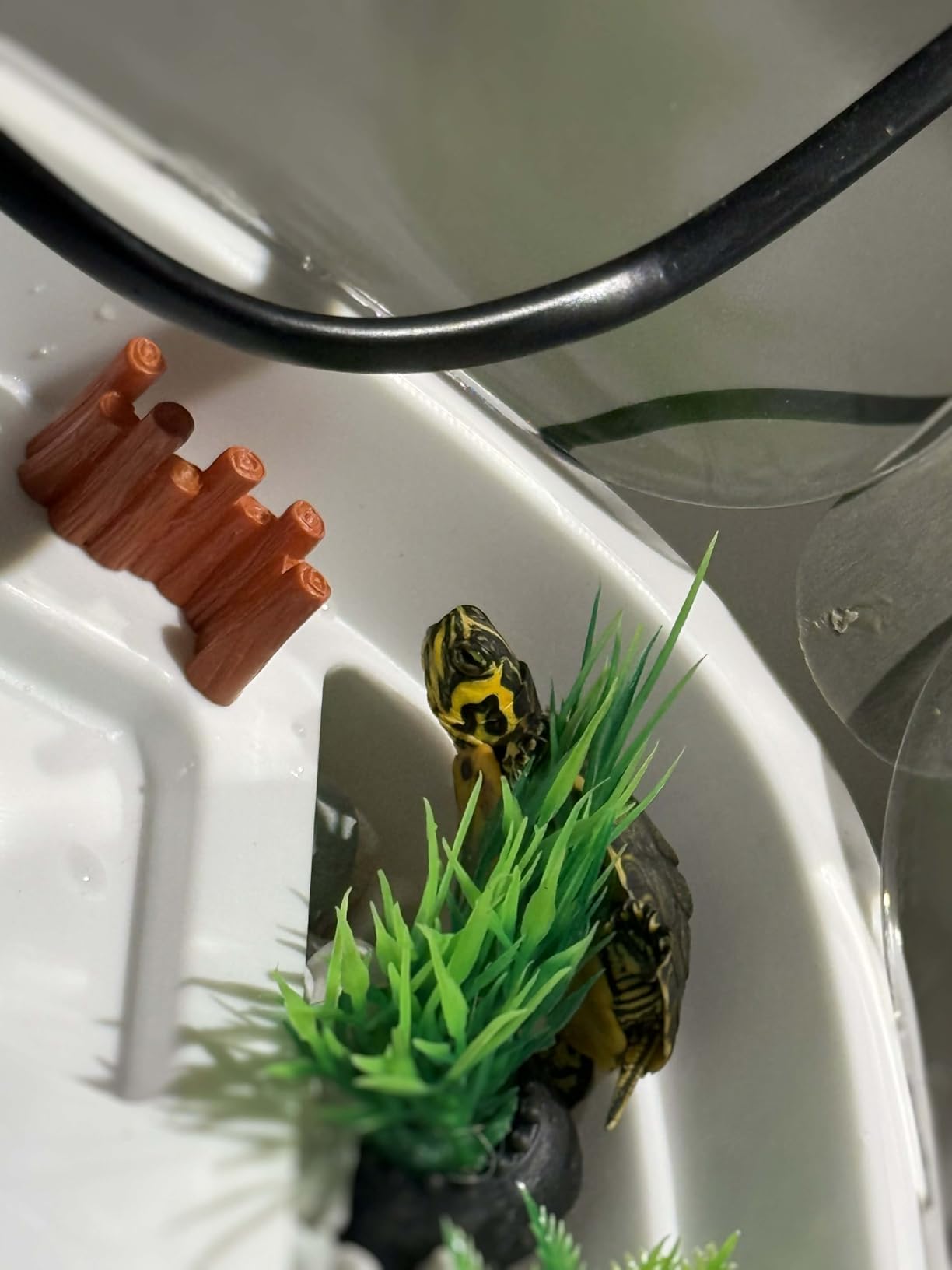 Small Turtle Tank Habitat Kit with Basking Platform, for Turtles, Crayfish, Crab, Aquatic Tortoise Enclosure Starter Aquarium, Pet Turtle Reptile Habitat customer photo 1